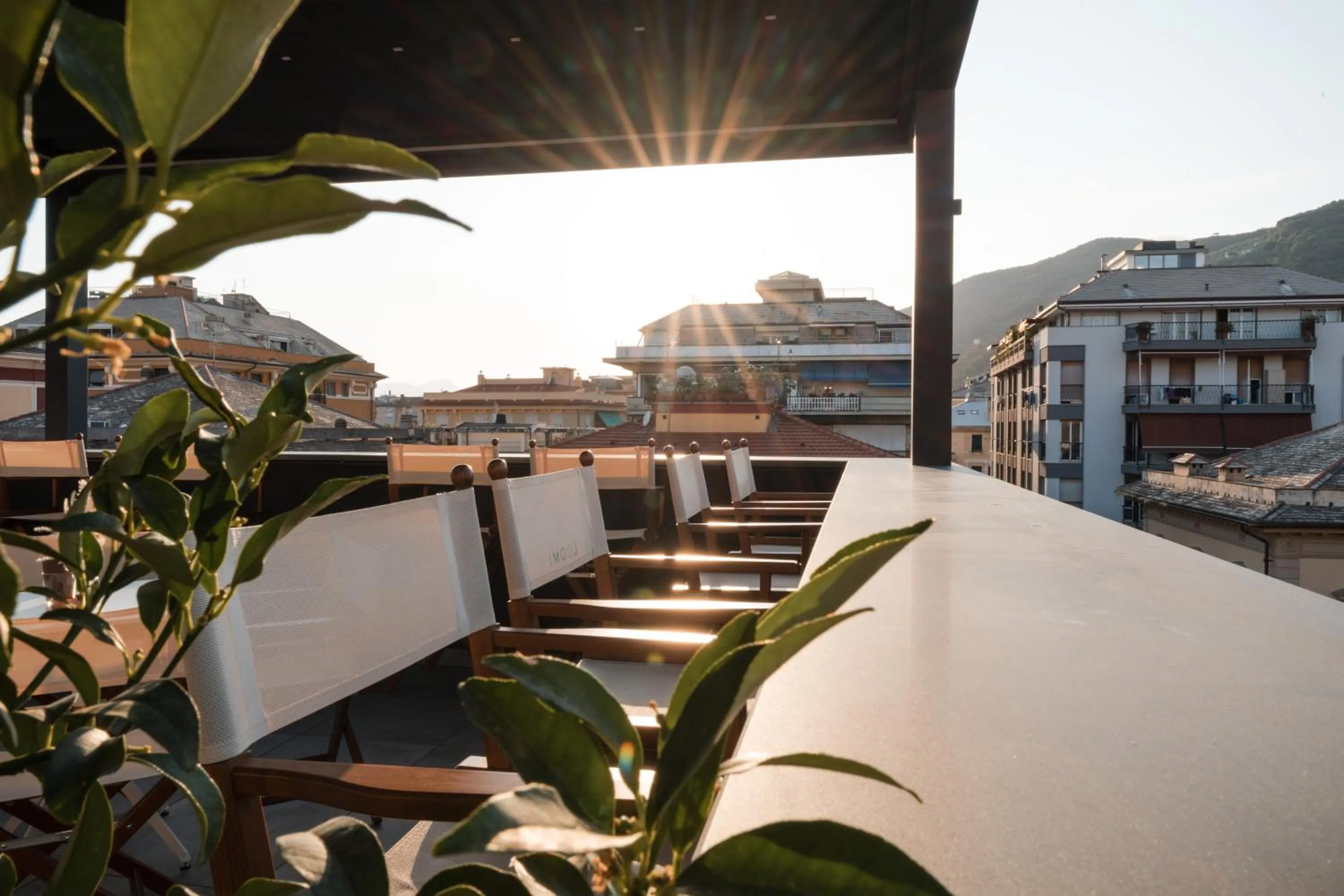 Balcony/Terrace in Hotel Stella Del Mare