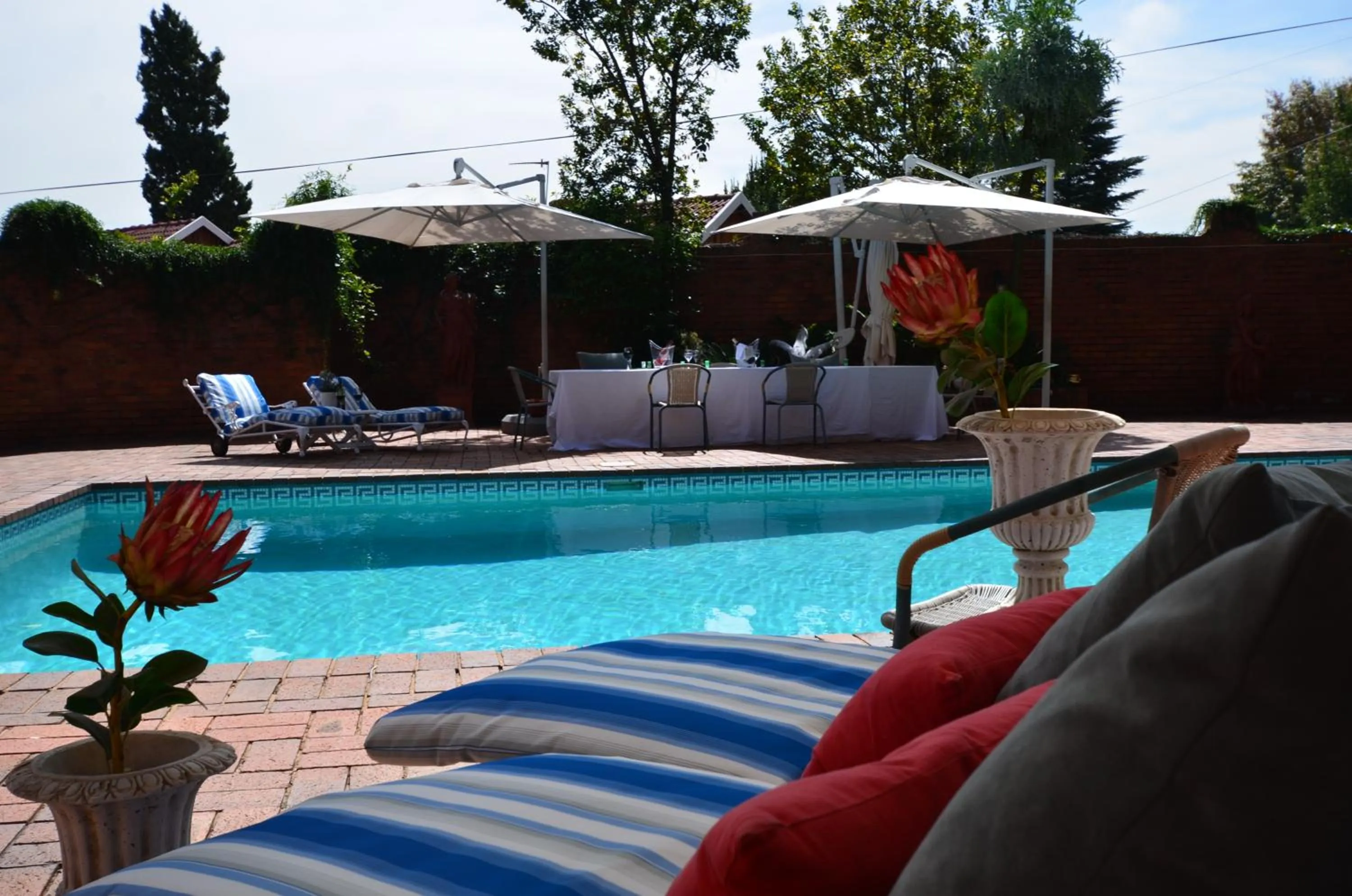 Swimming pool in Summerview Boutique Hotel & Conference