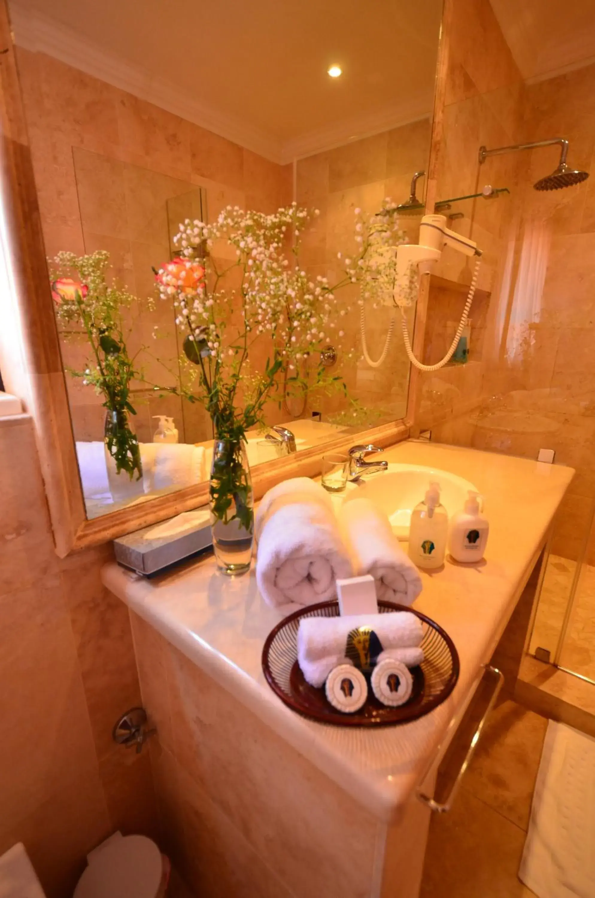 Double Room - single occupancy in Summerview Boutique Hotel & Conference Double Room - single occupancy in Summerview Boutique Hotel & Conference