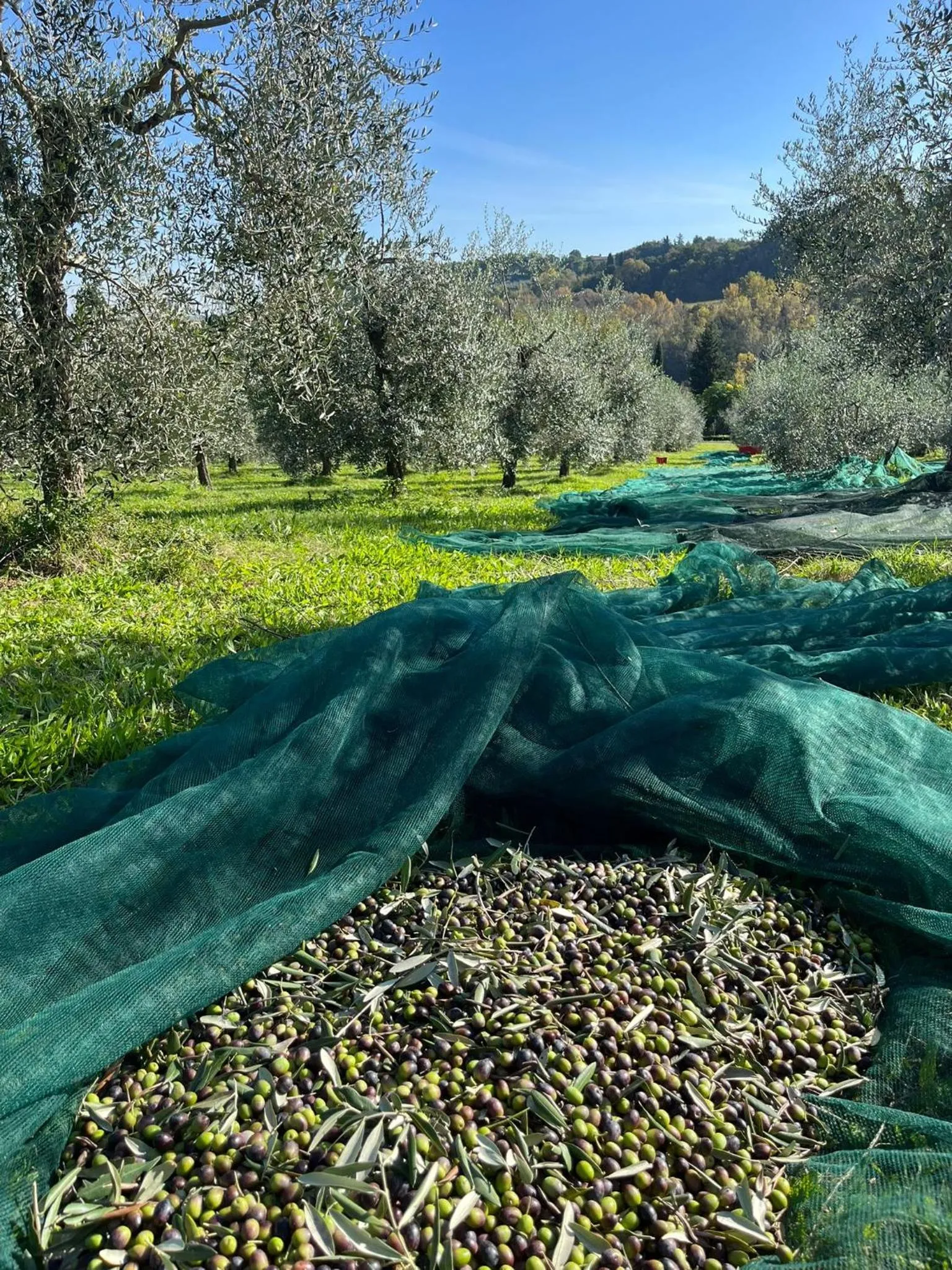 Activities in Hotel Sovestro