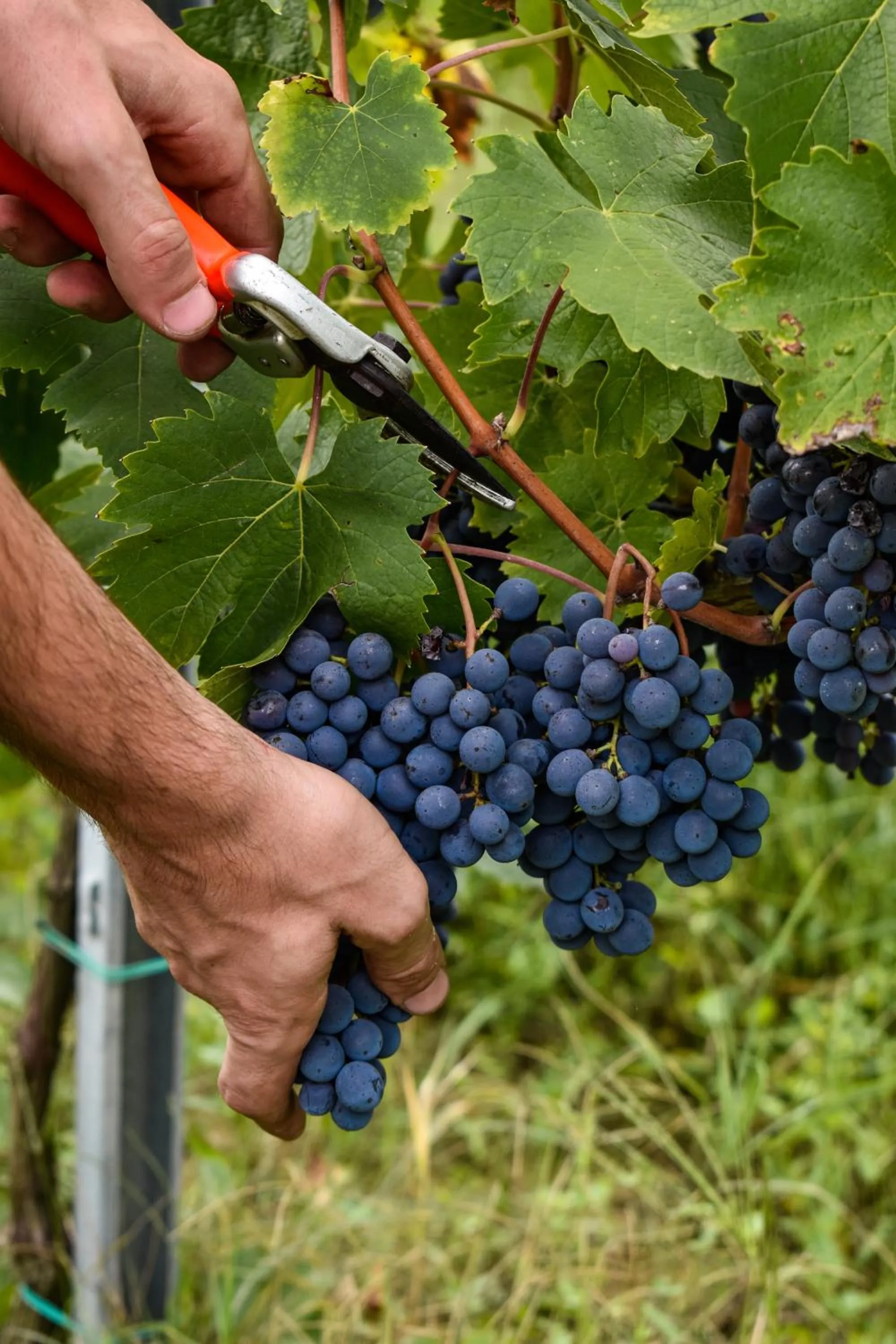 Activities in Hotel Sovestro