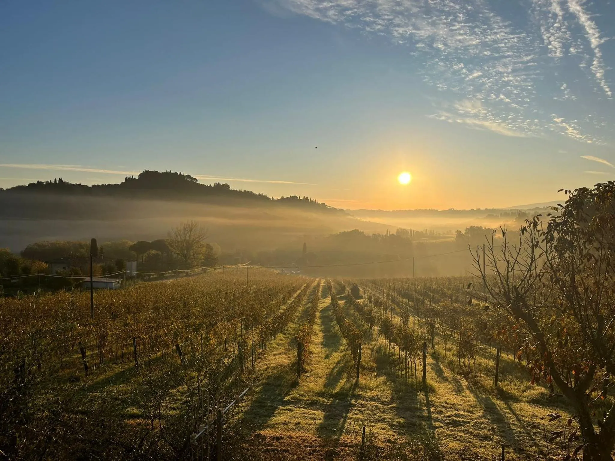 Natural landscape in Hotel Sovestro