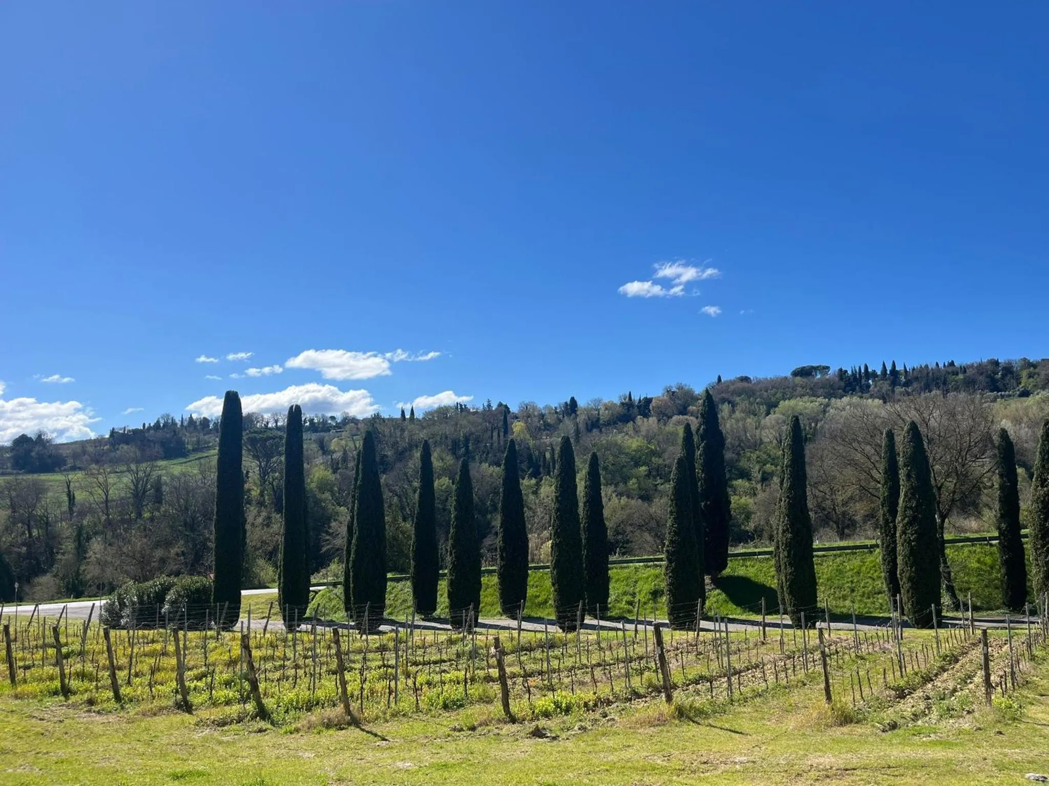 Street view in Hotel Sovestro