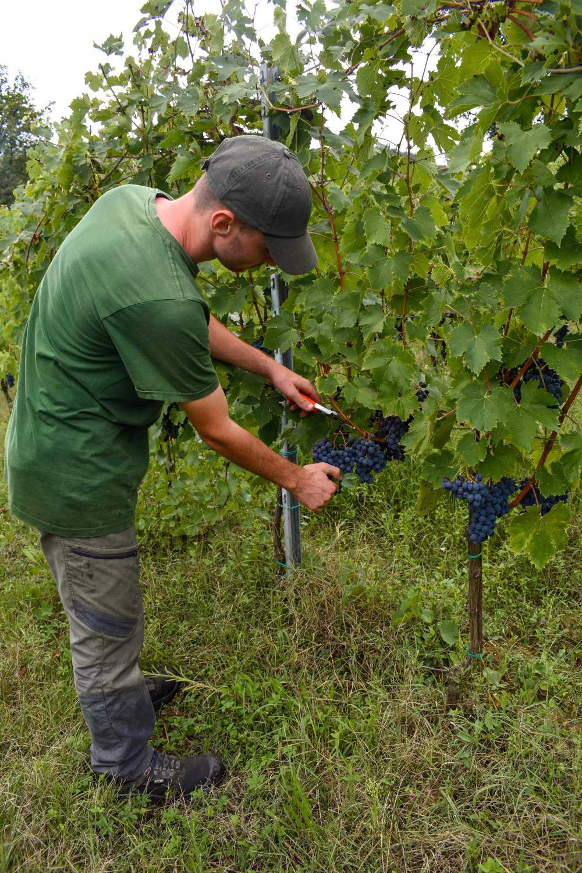 Activities in Hotel Sovestro