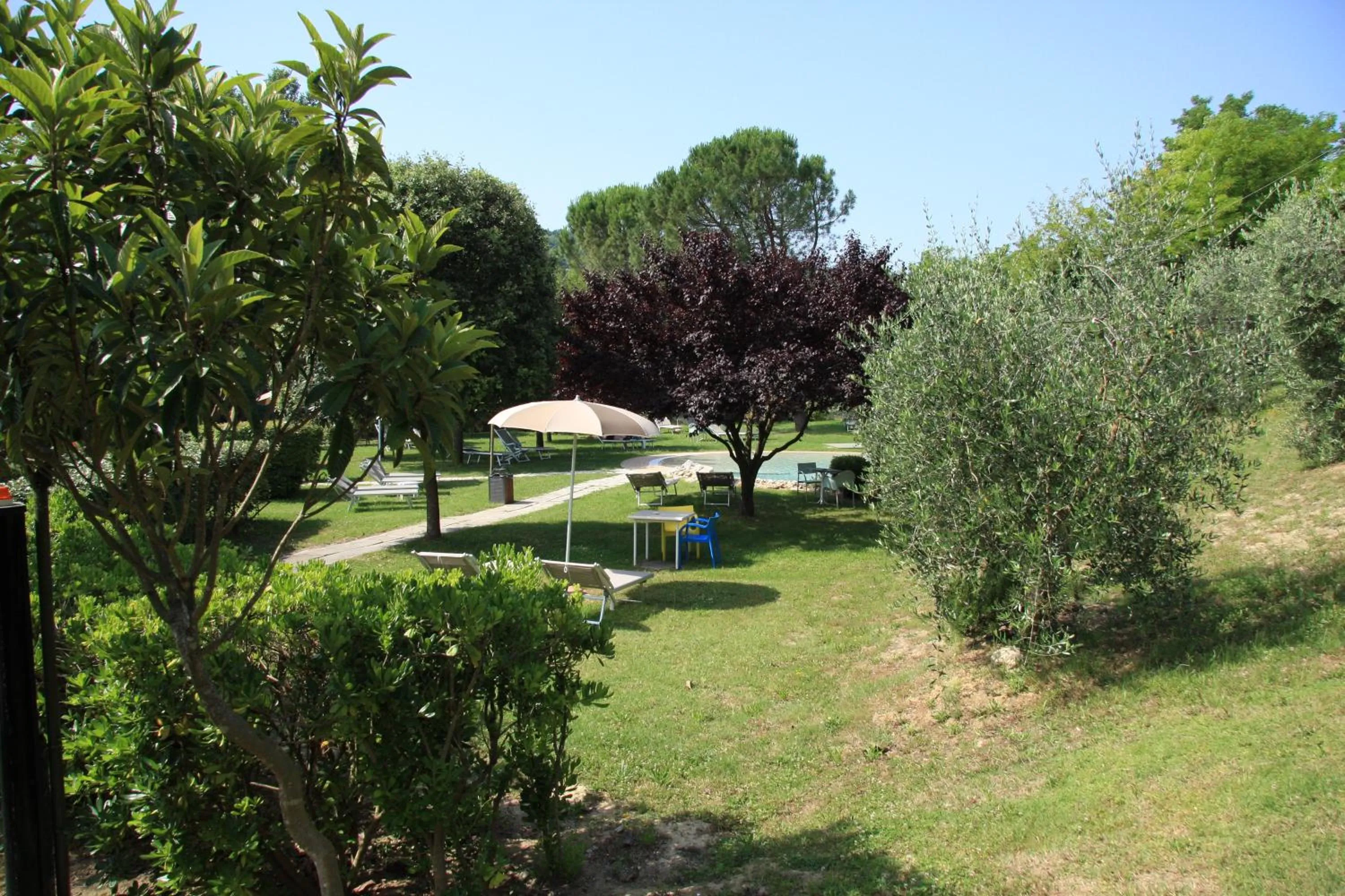 Garden in Hotel Sovestro