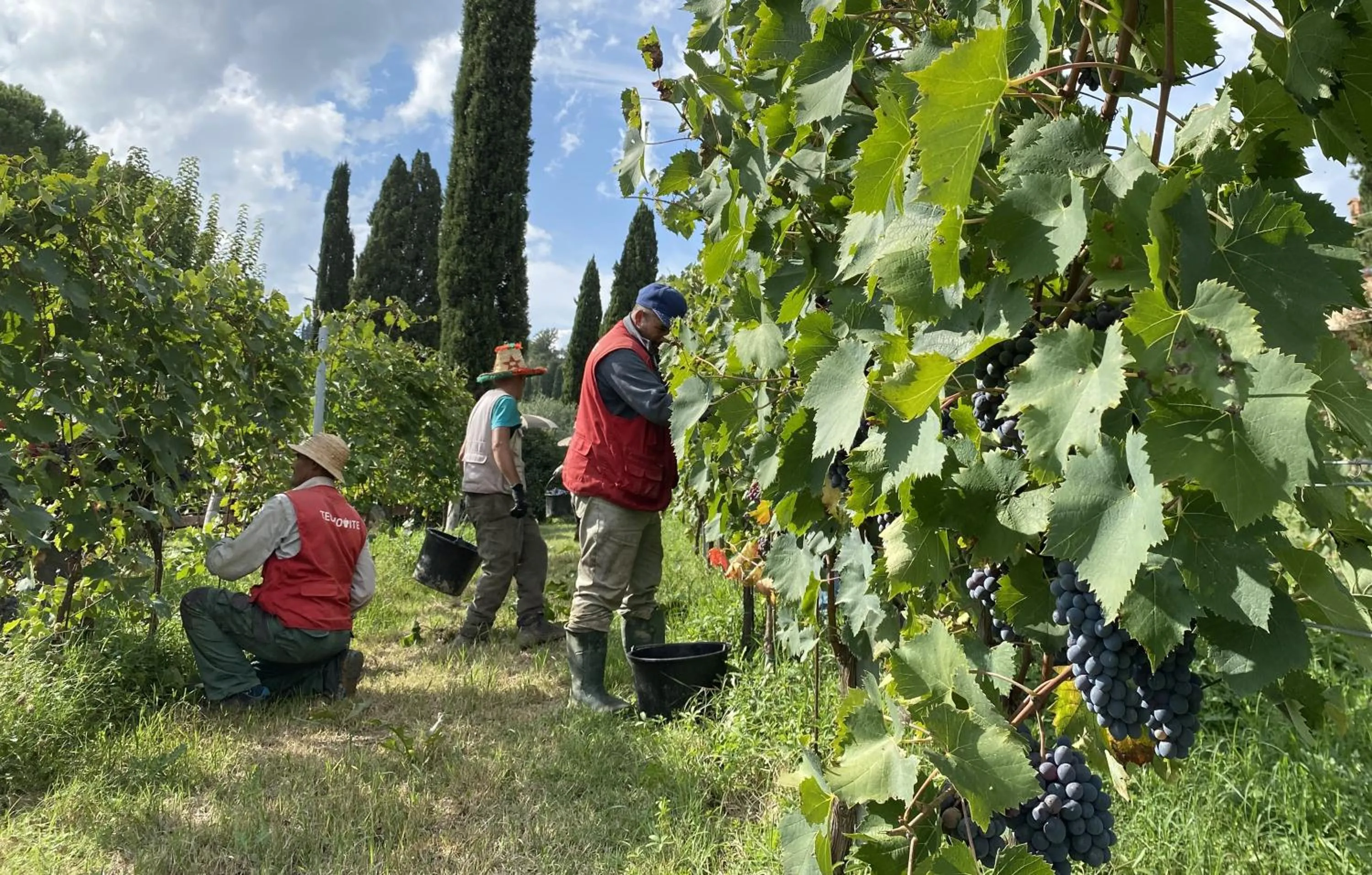 Activities in Hotel Sovestro