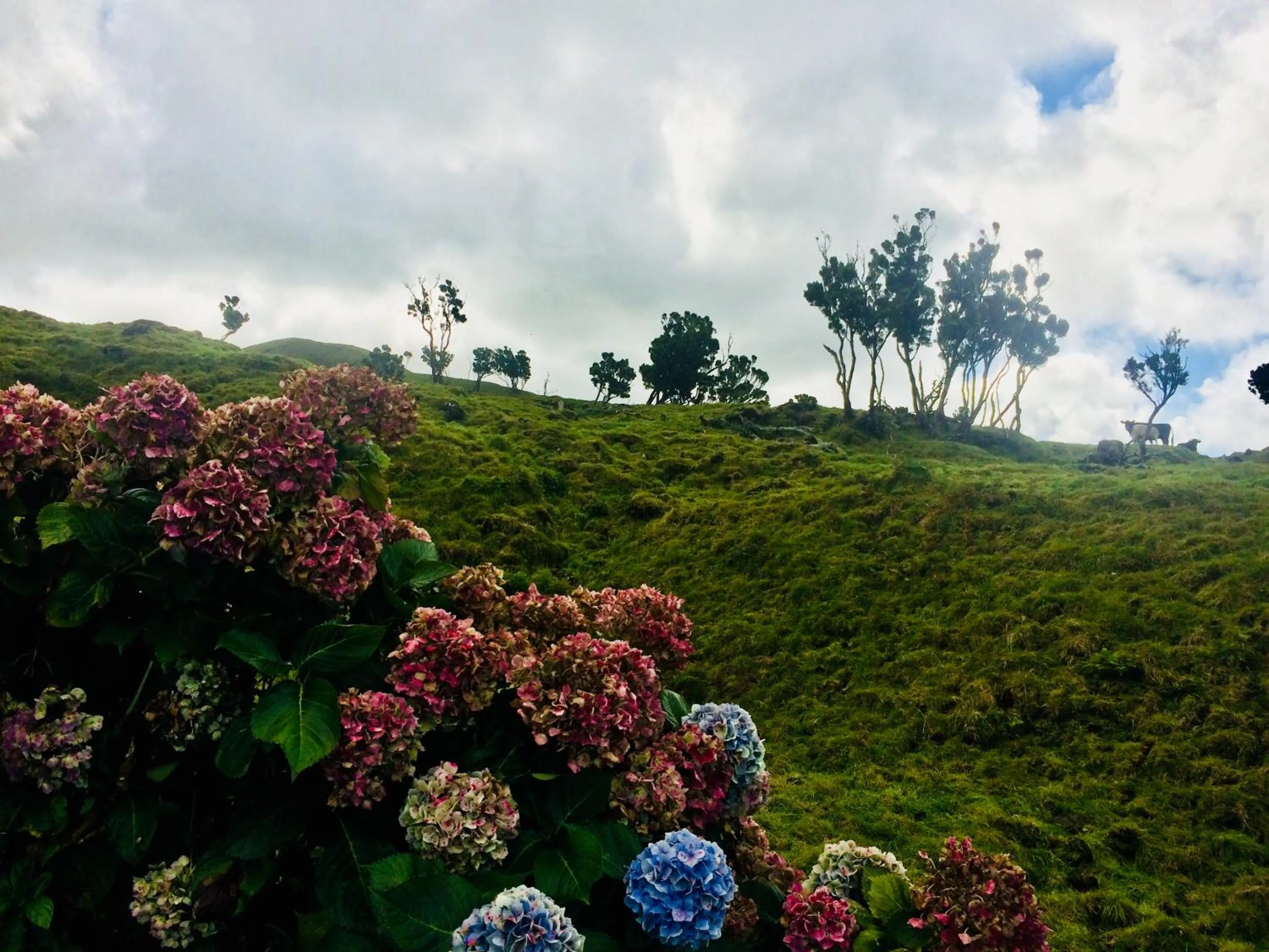 Landmark view in Villa Da Madalena
