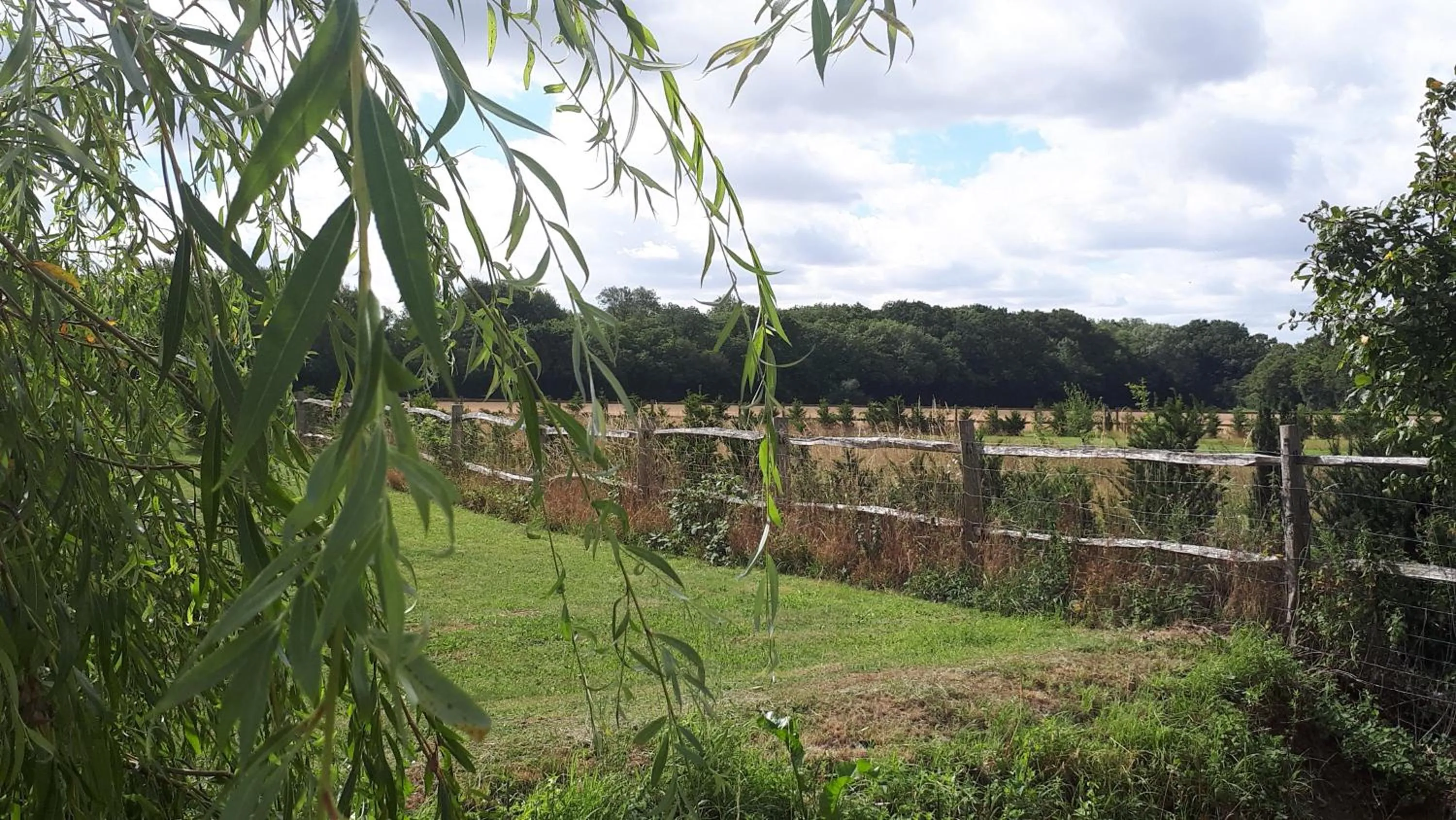 Natural landscape in The Suites at Pannells Ash