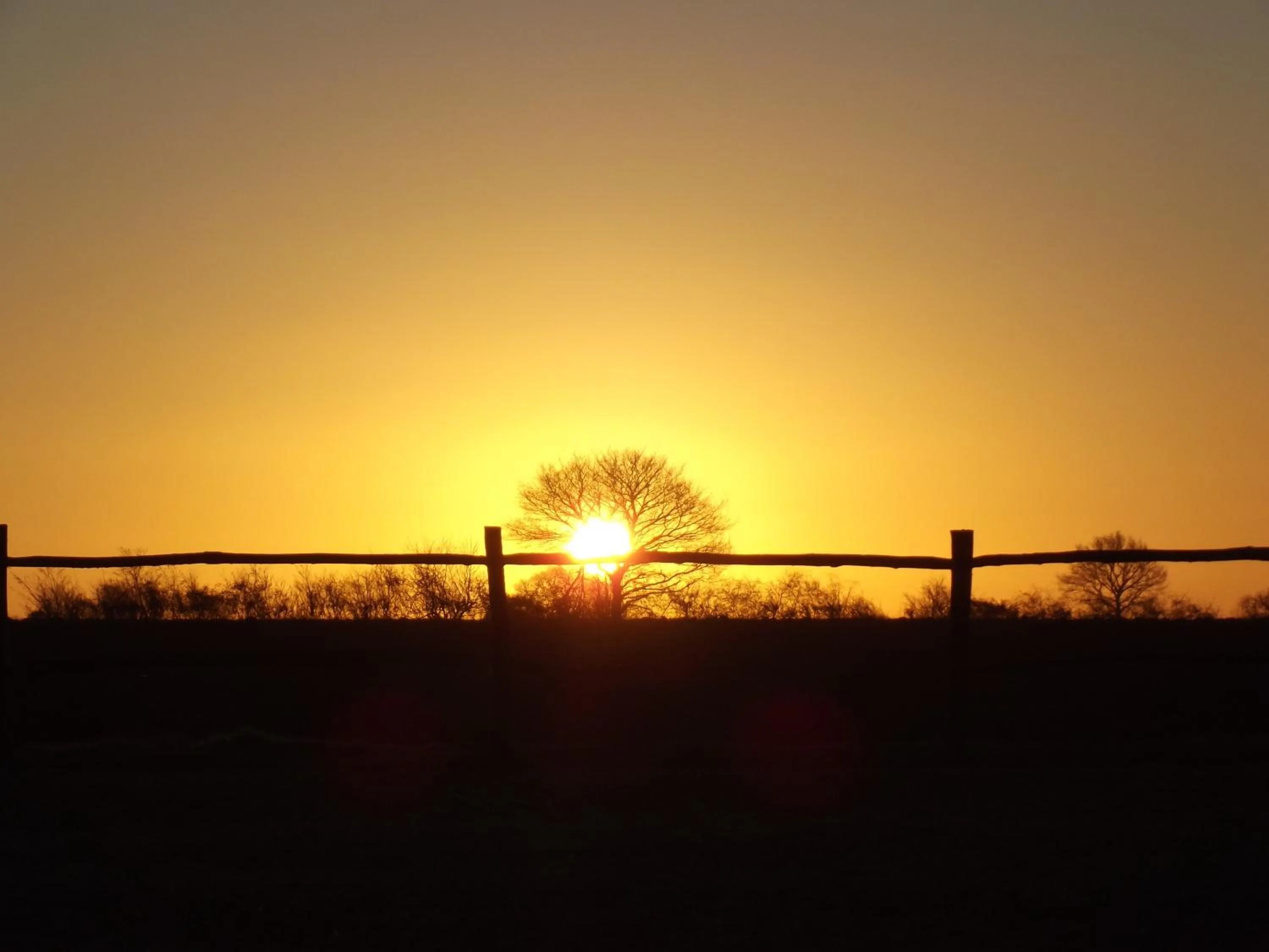 View (from property/room) in The Suites at Pannells Ash