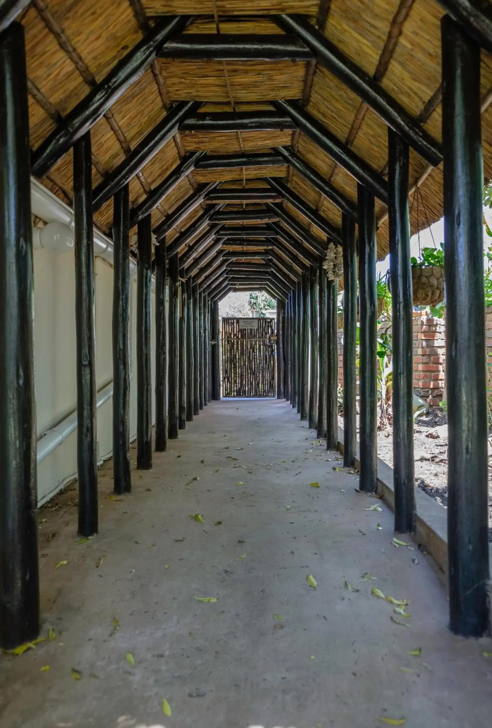 Apartment with Garden View in Crowned Crane Apartment with Garden View in Crowned Crane