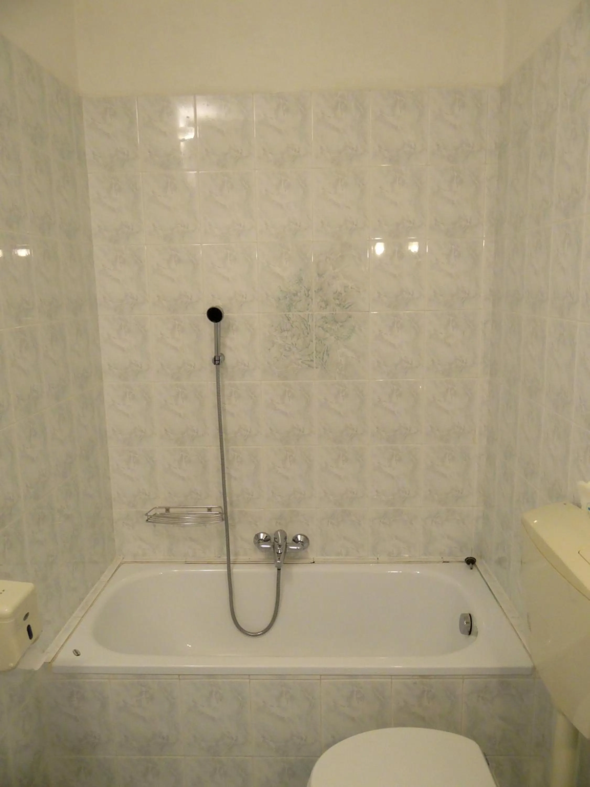 Hot Tub in B&B Home in Florence