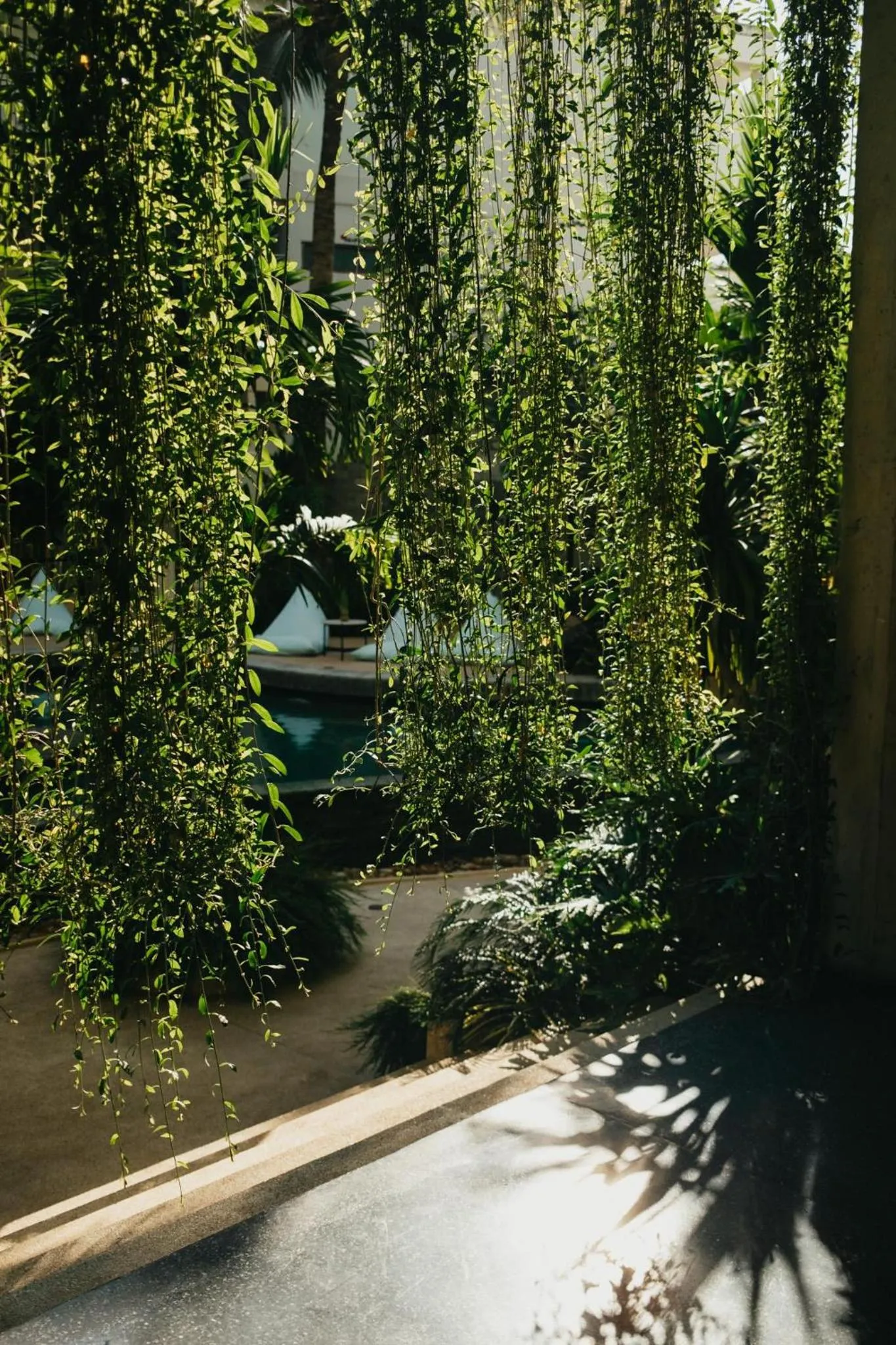Garden in Hotel Vellita Siem reap