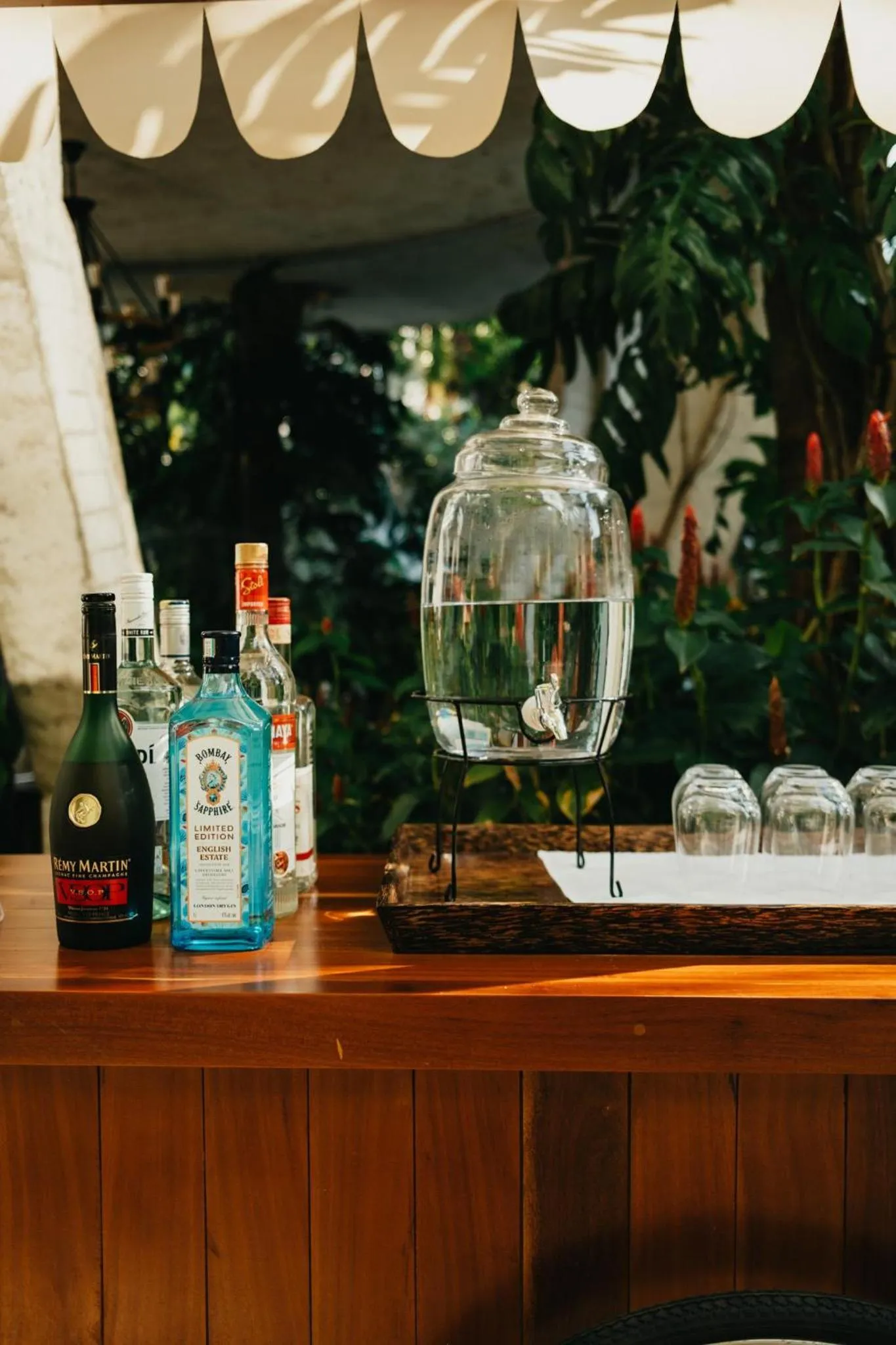 Lounge or bar in Hotel Vellita Siem reap