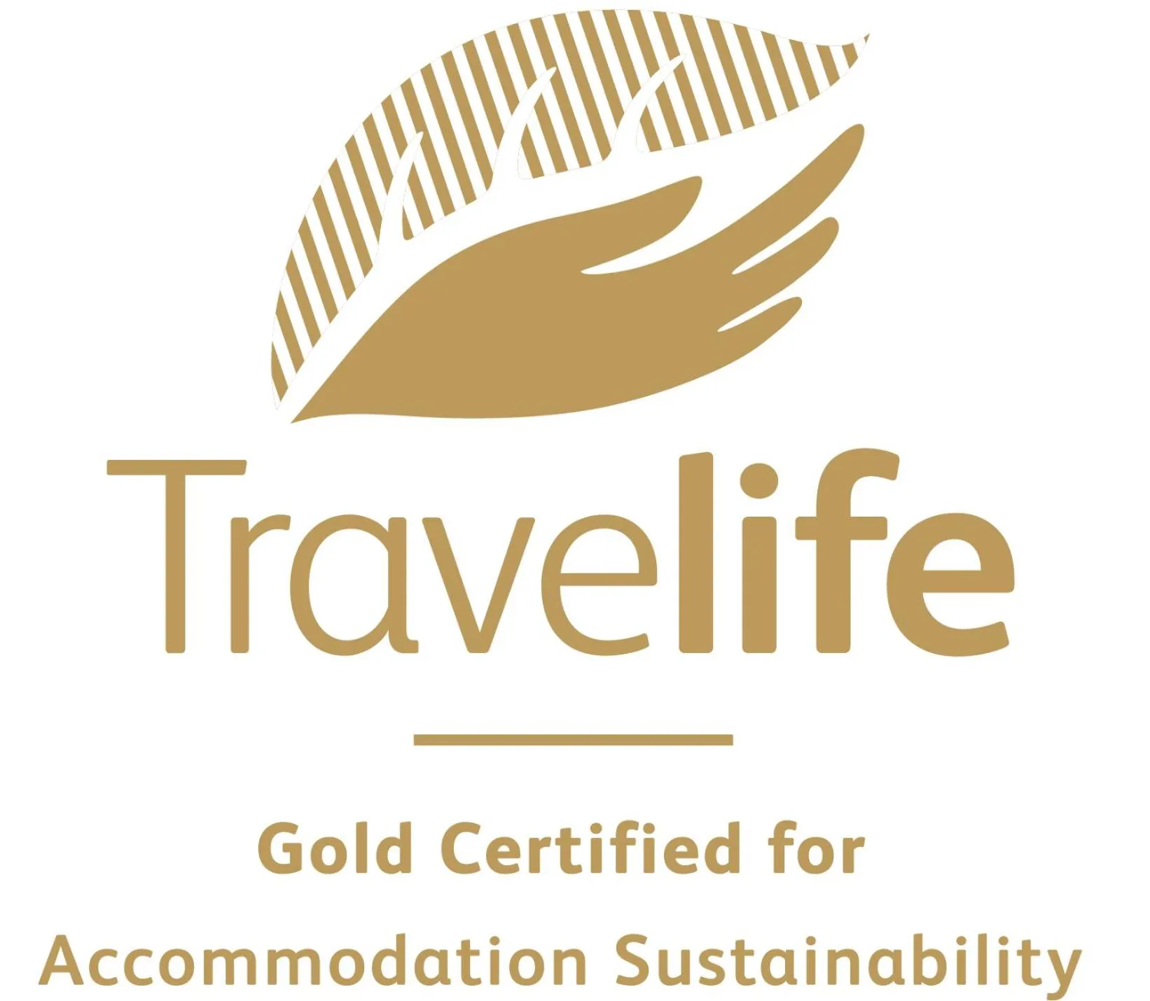 Certificate/Award in Hotel Shambala