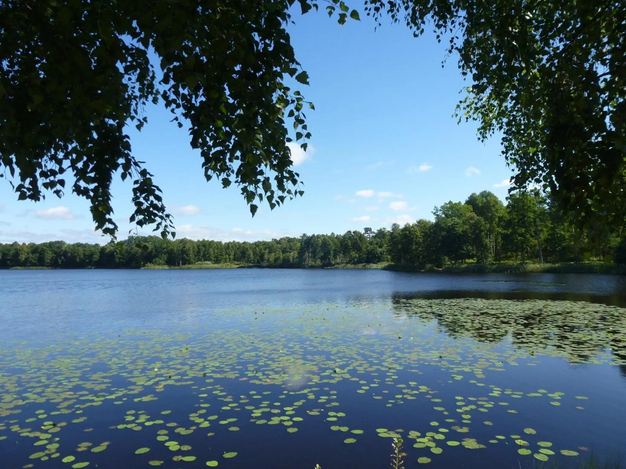 Fishing in Hotell Vita Hästen Hästveda