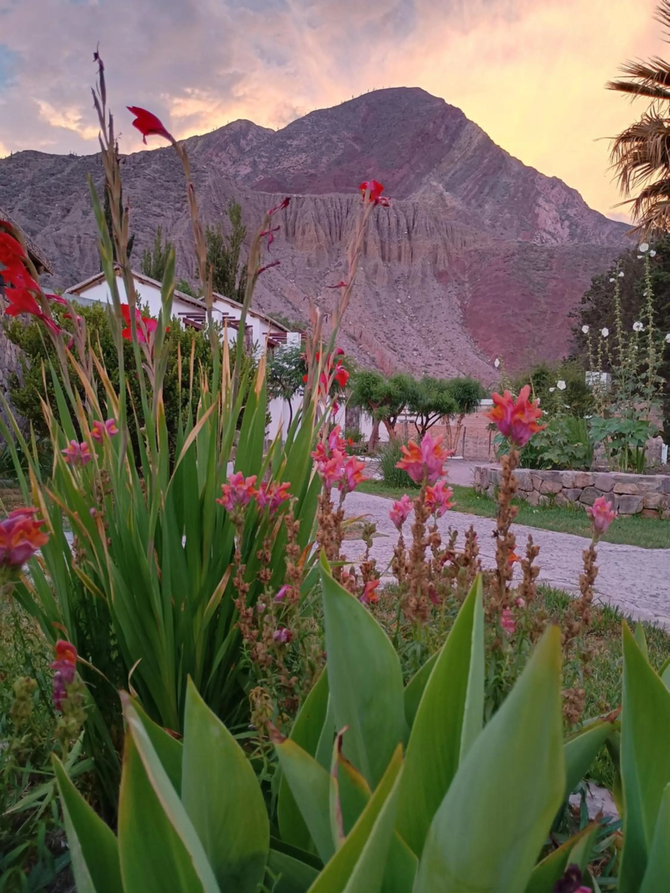 Property building in El Refugio de Coquena