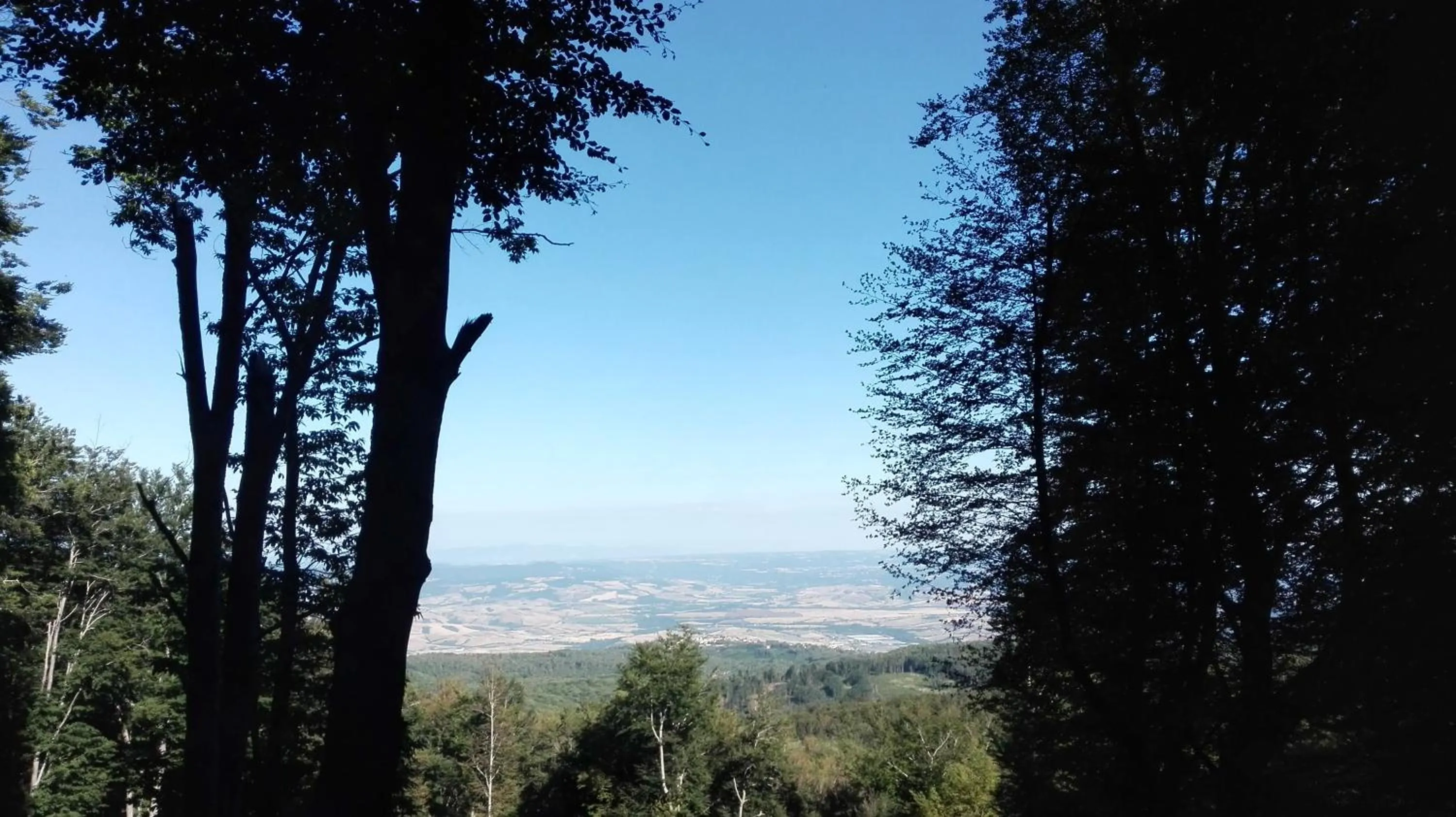 Spring in Thalassa Locanda B&B e appartamento