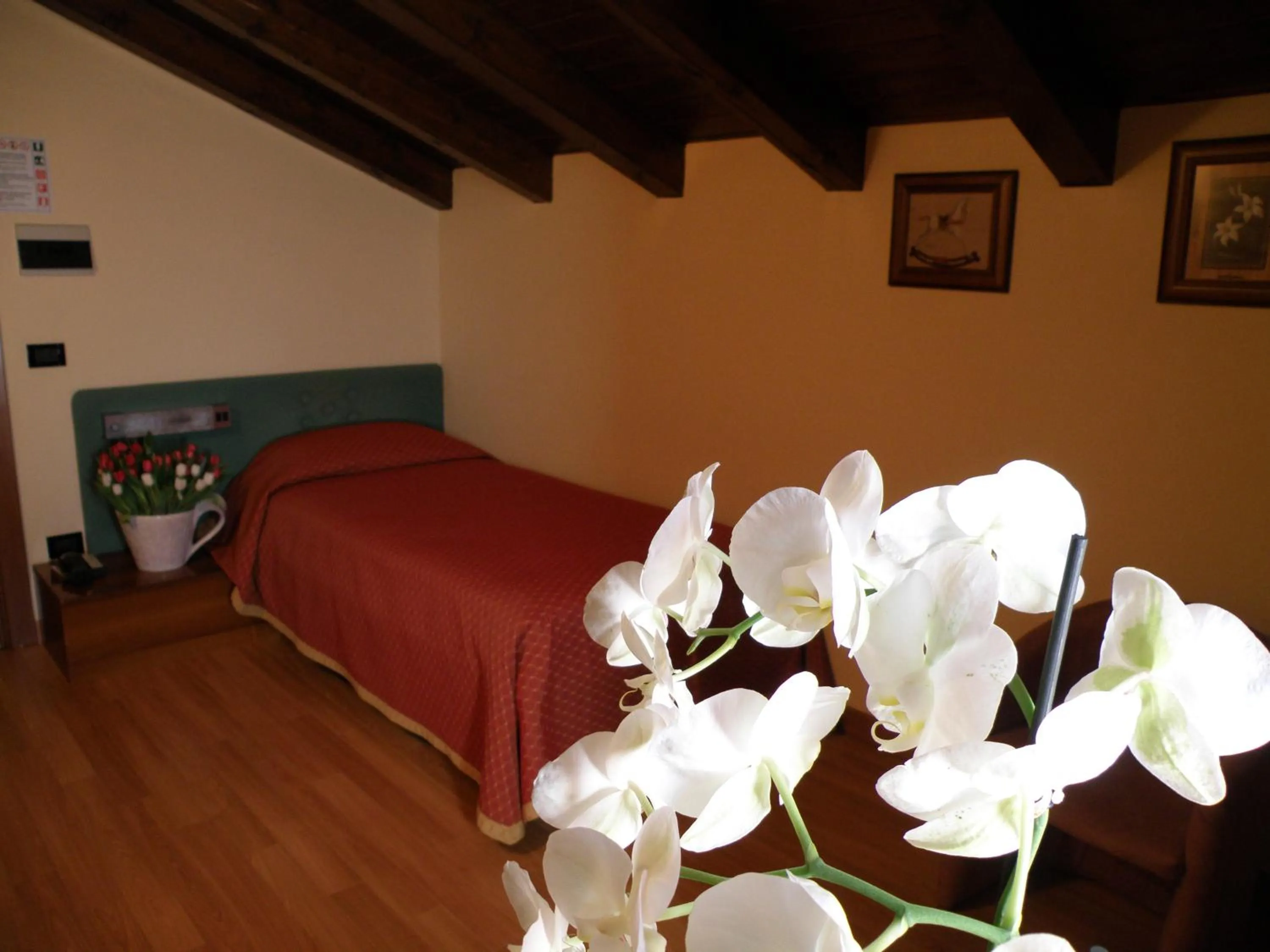 Bed in Hotel Villa Monica