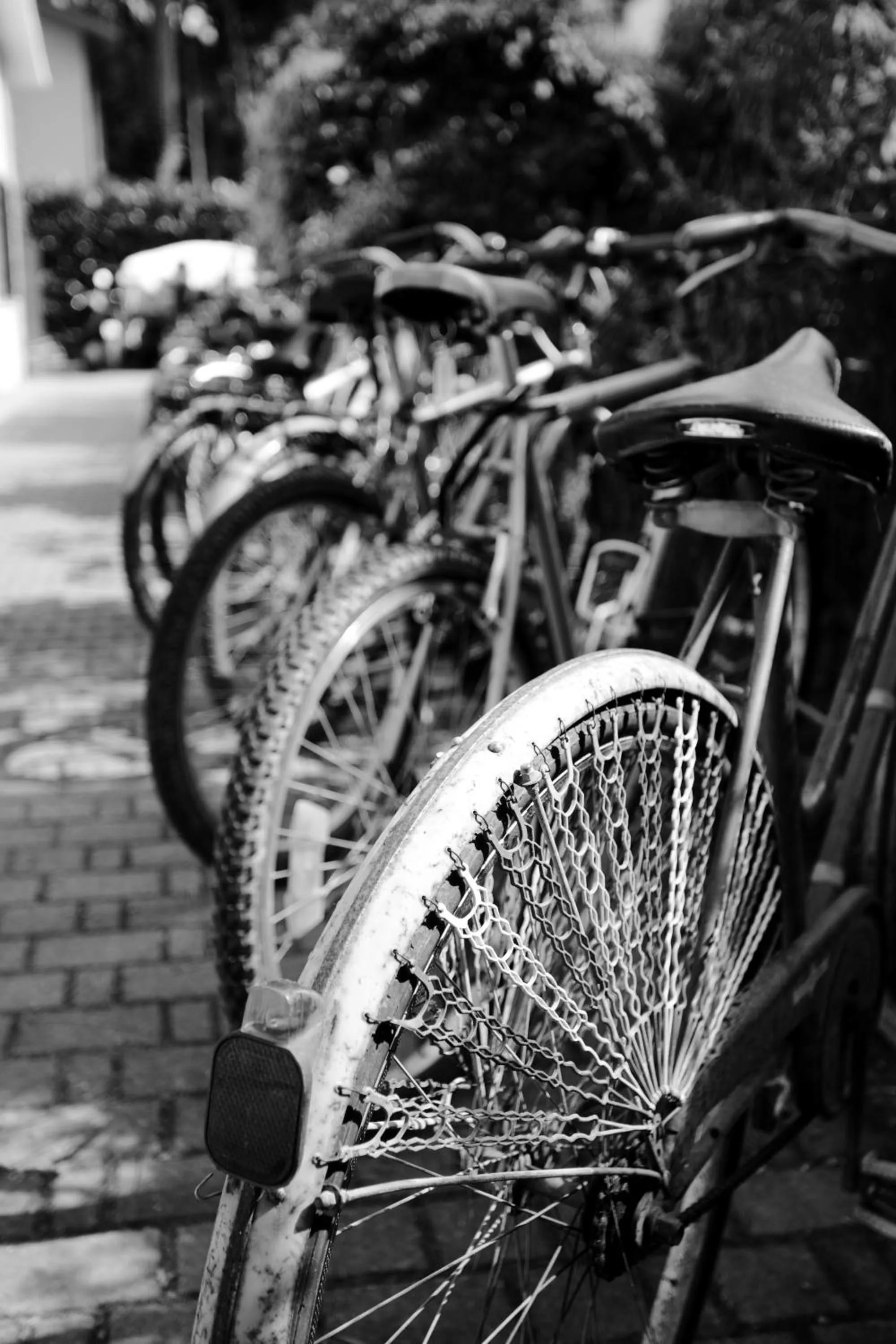 Other in La Tavernetta