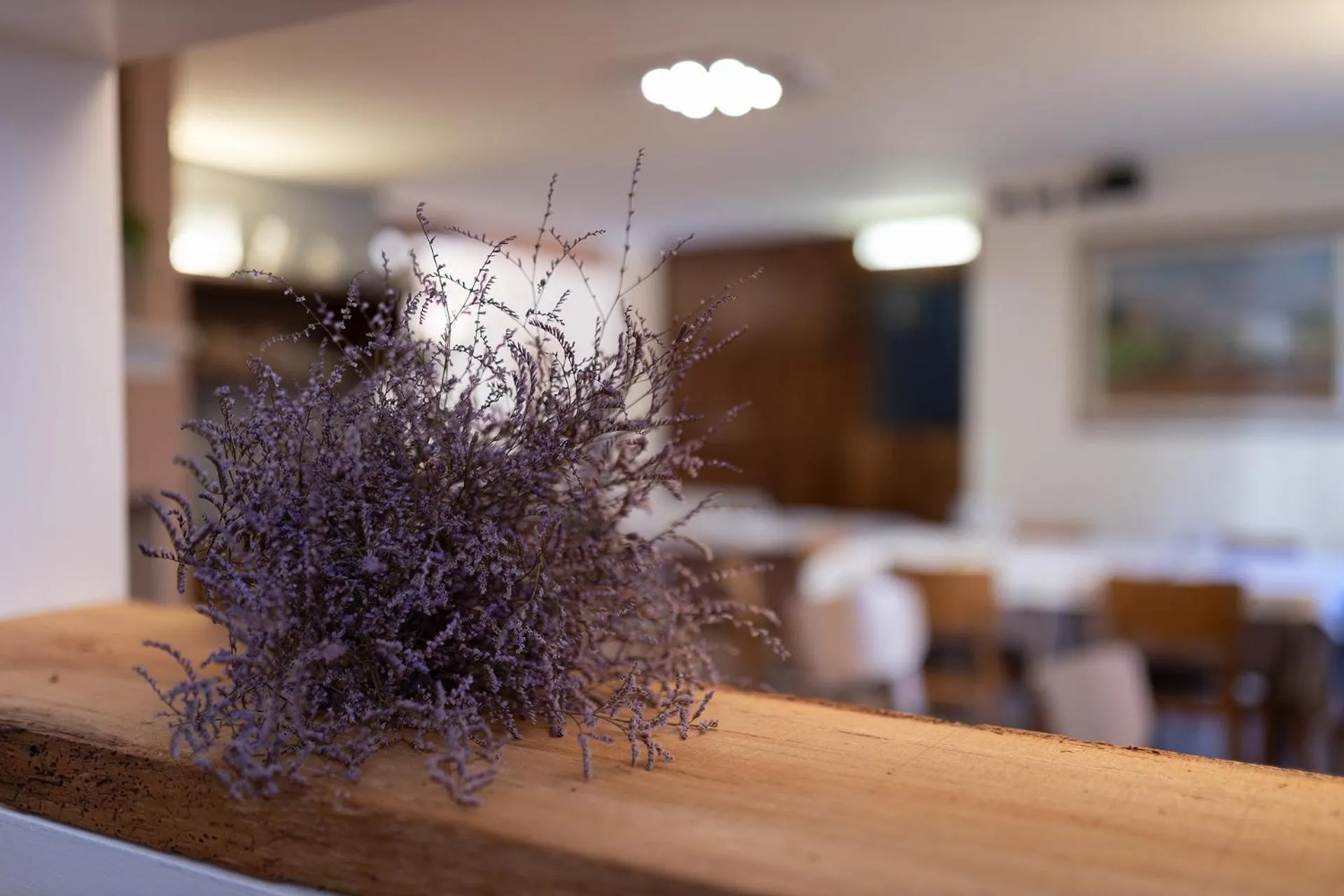 Restaurant/places to eat in La Tavernetta