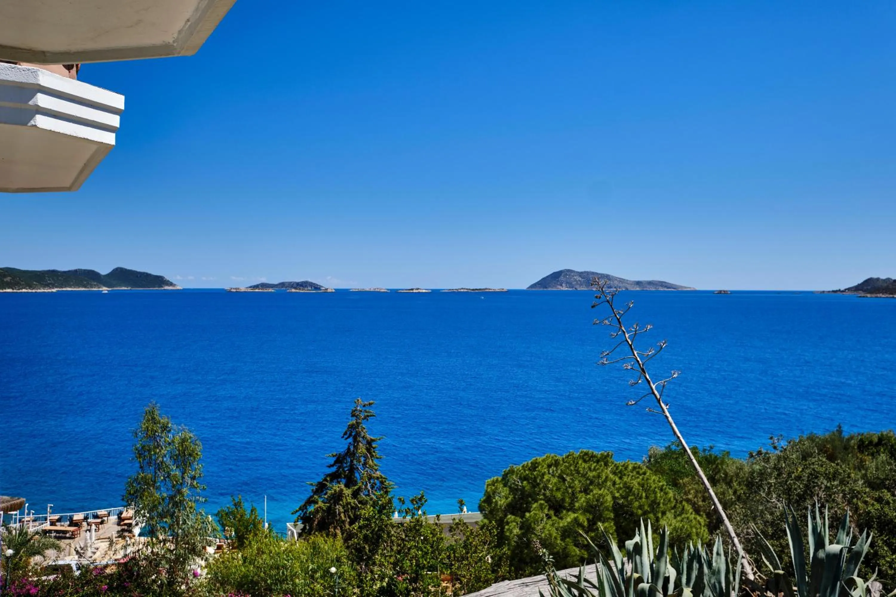 Natural landscape in Aquarius Hotel