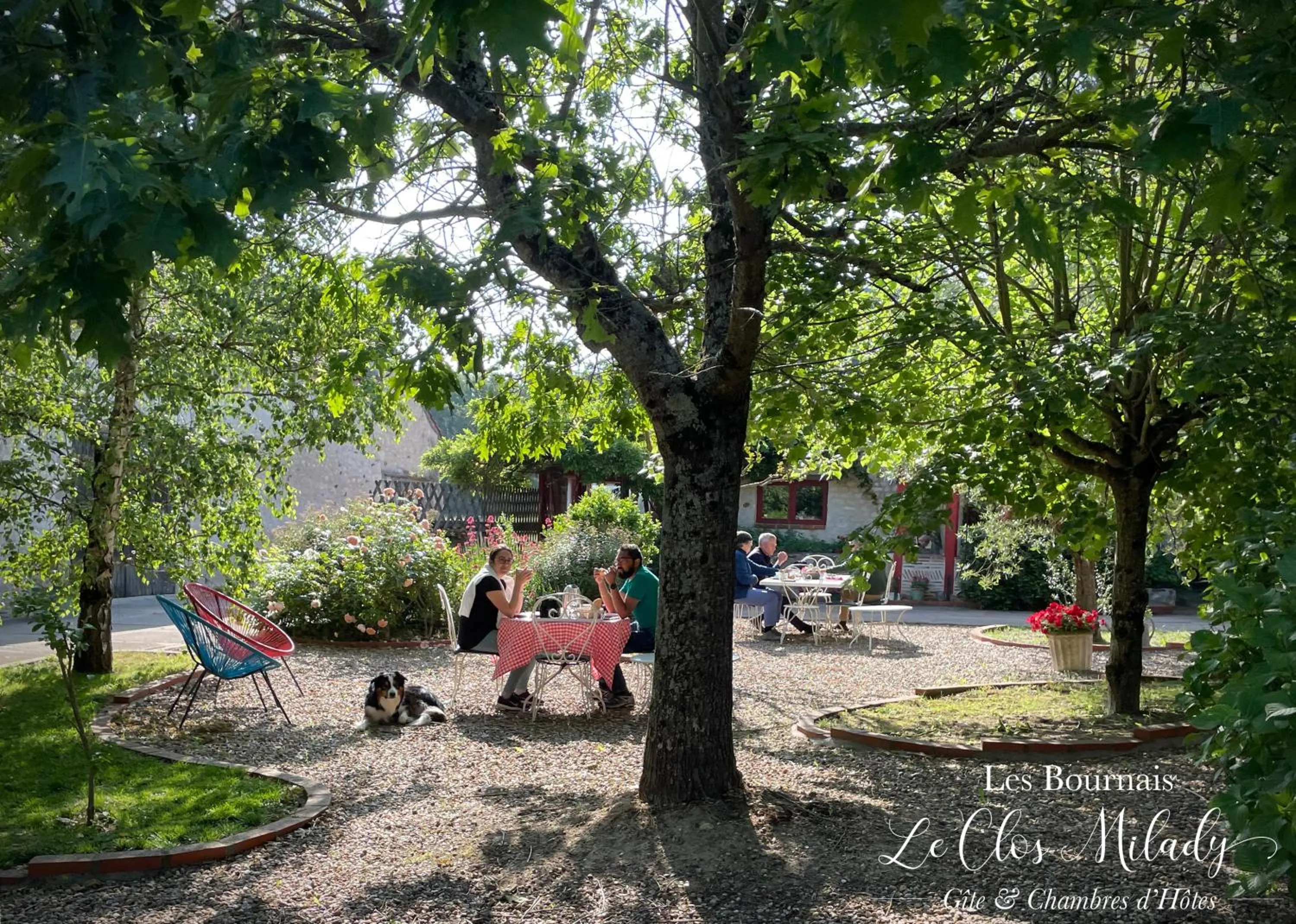 Garden in Chambres d'Hôtes Les Bournais - Le Clos Milady