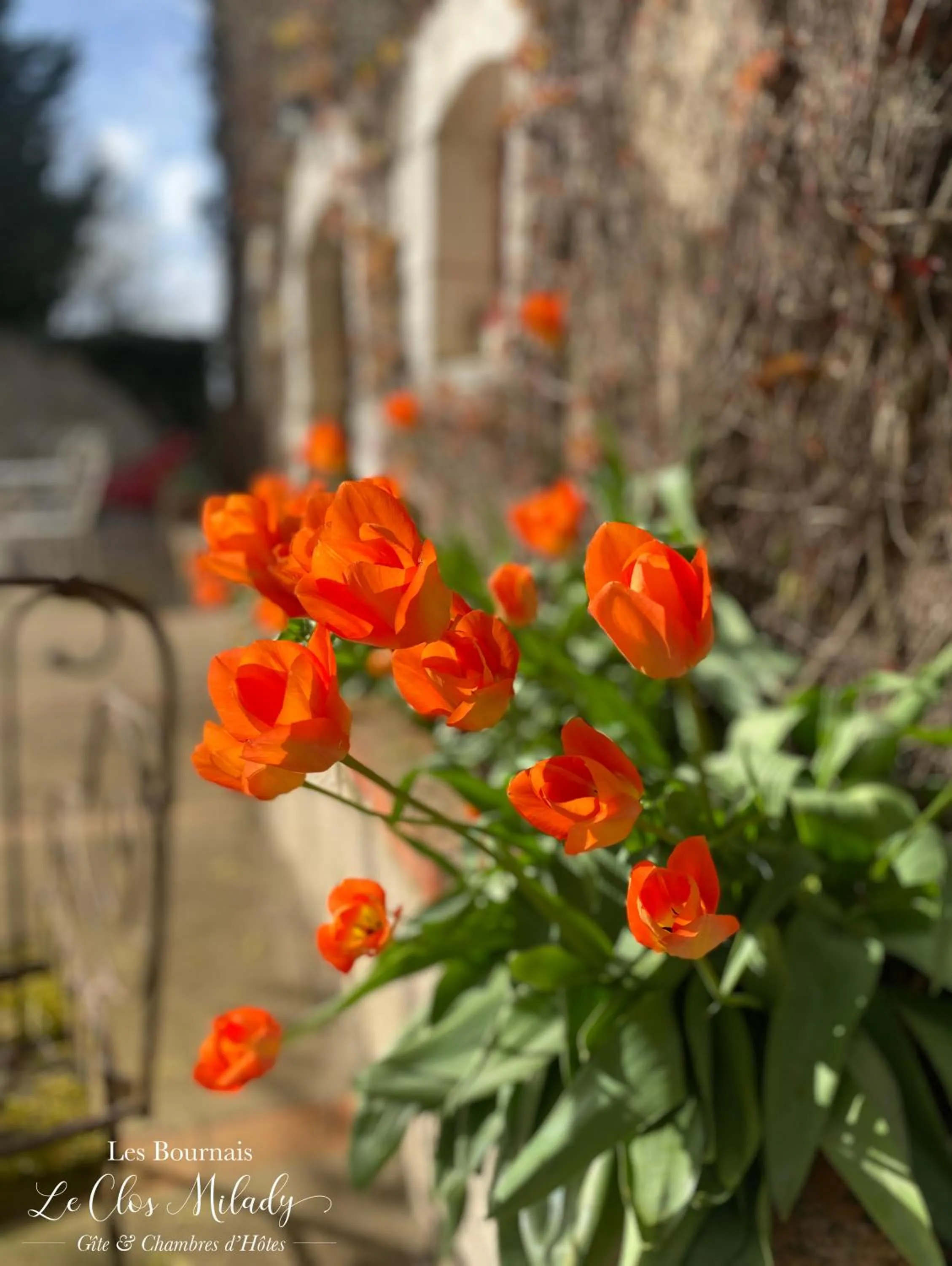 Spring in Chambres d'Hôtes Les Bournais - Le Clos Milady