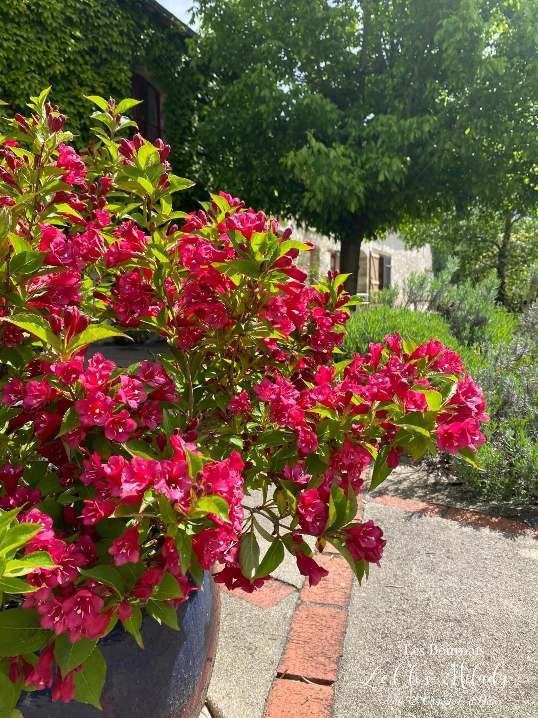 Spring in Chambres d'Hôtes Les Bournais - Le Clos Milady