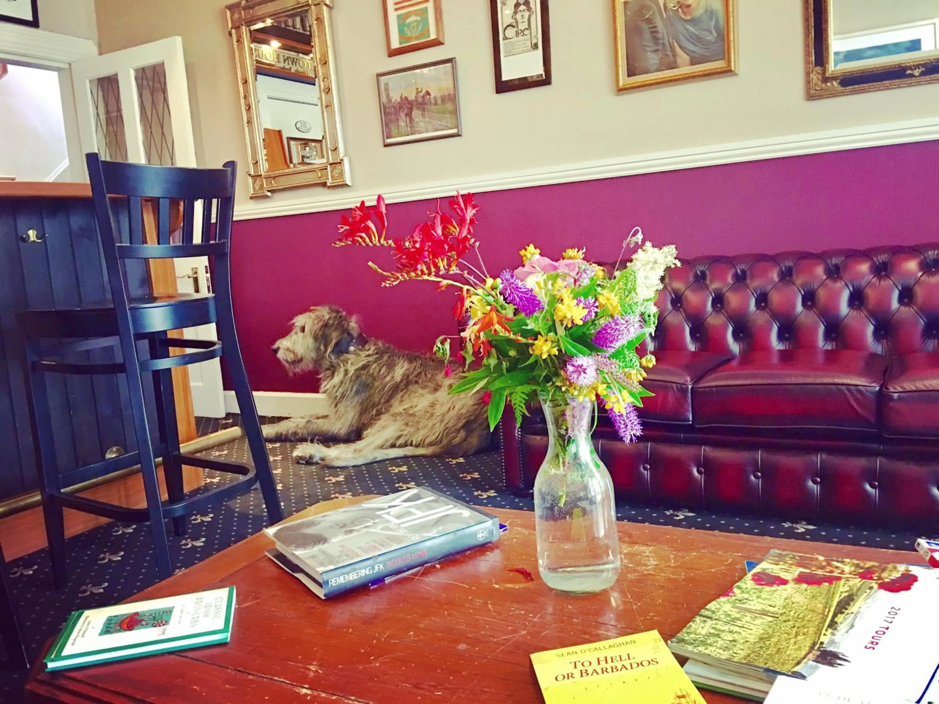 Lounge or bar in Milltown House Dingle