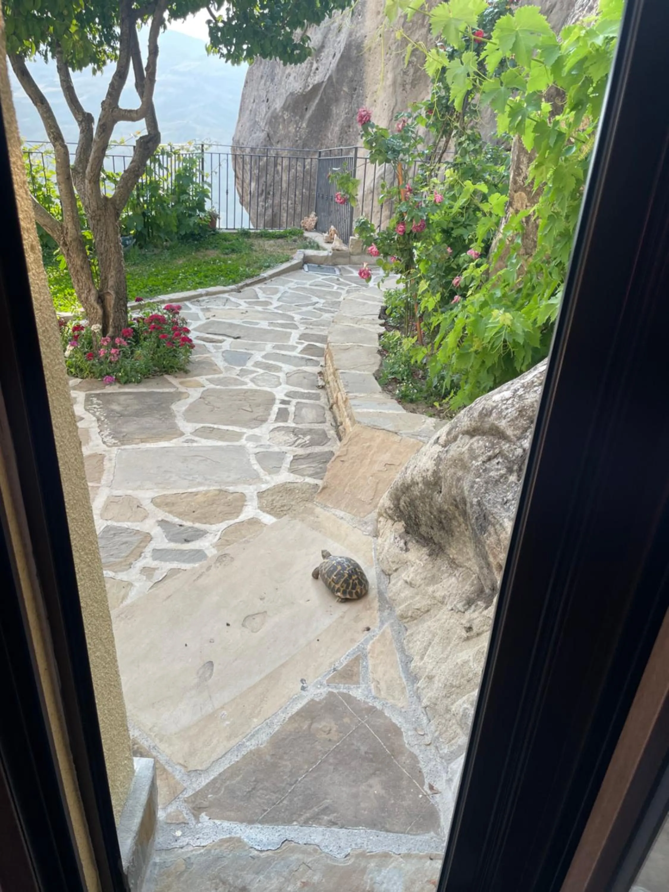 Garden in B&B L'Arenaria