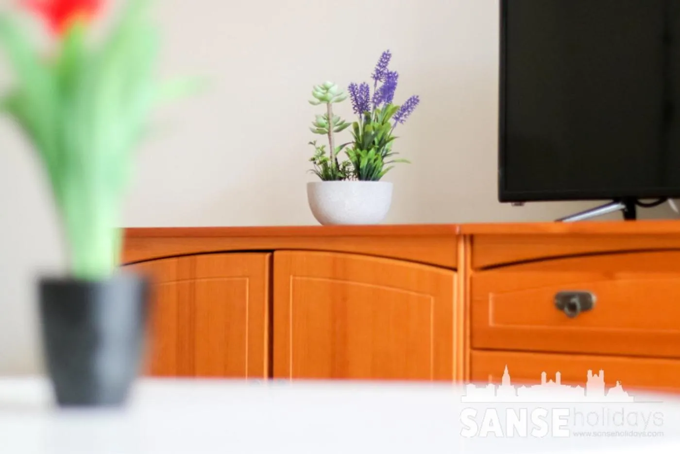 Apartamento Colón by SanSe Holidays