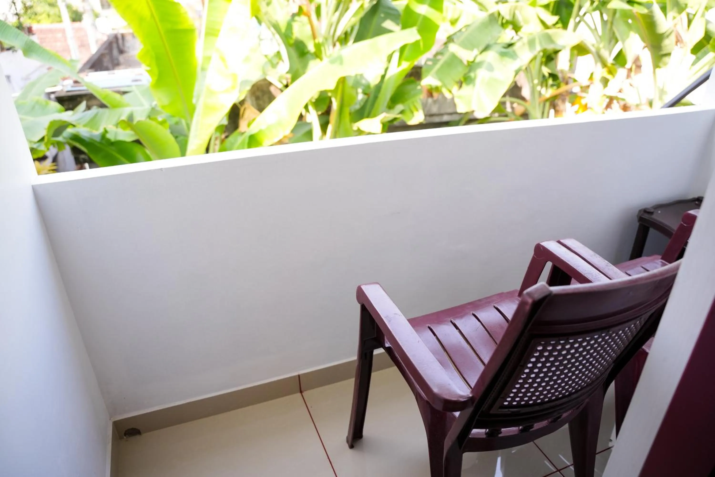 Aleenas homestay