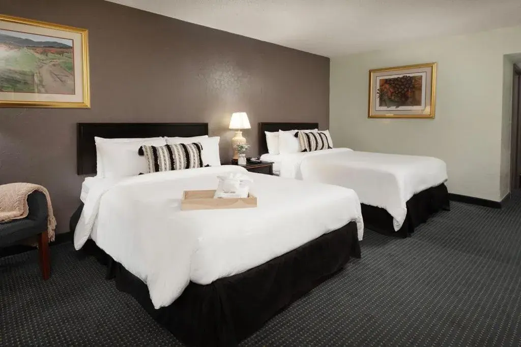 Basic Double in Cactus Cove Inn and Suites Basic Double in Cactus Cove Inn and Suites