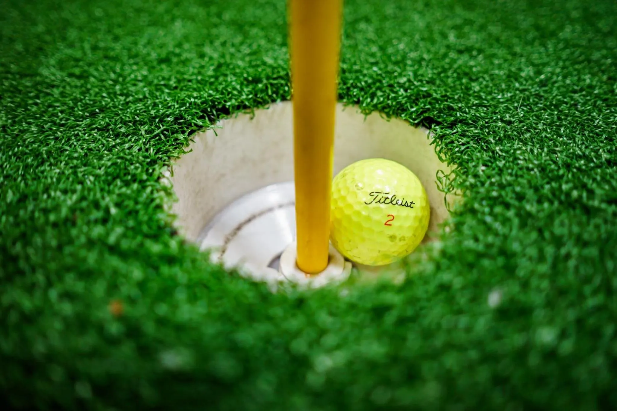 Cactus Cove Inn and Suites