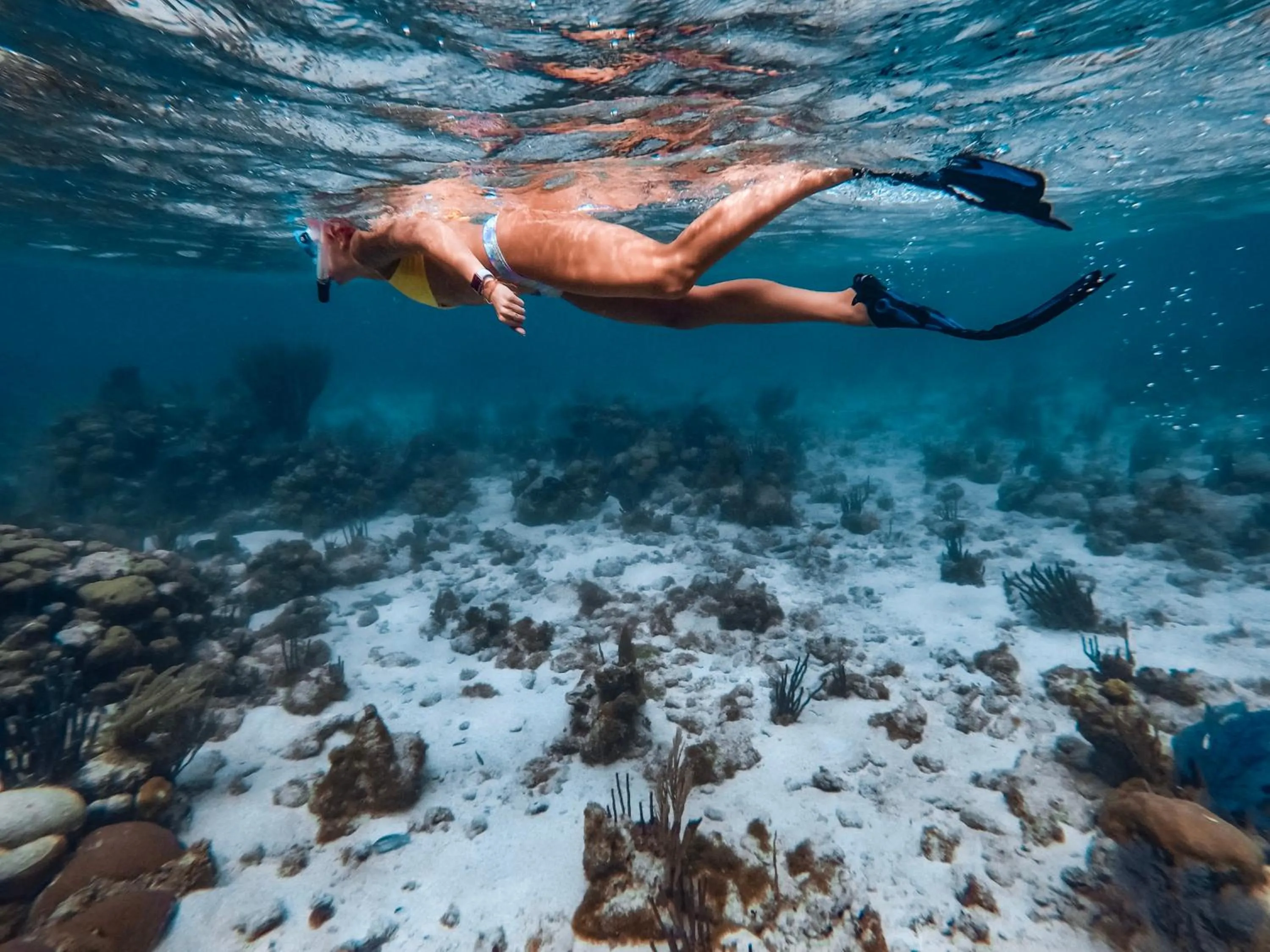 Activities in Thatch Caye Resort a Muy'Ono Resort