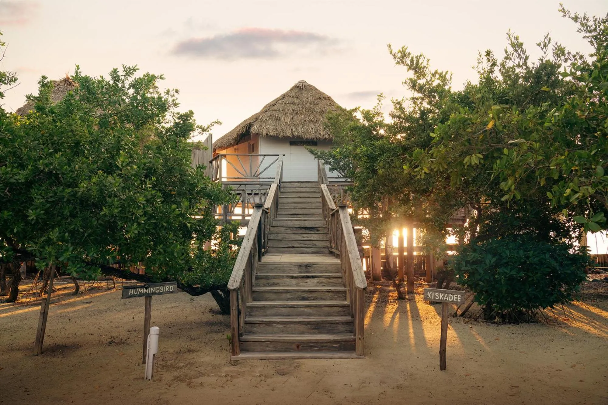 View (from property/room) in Thatch Caye Resort a Muy'Ono Resort