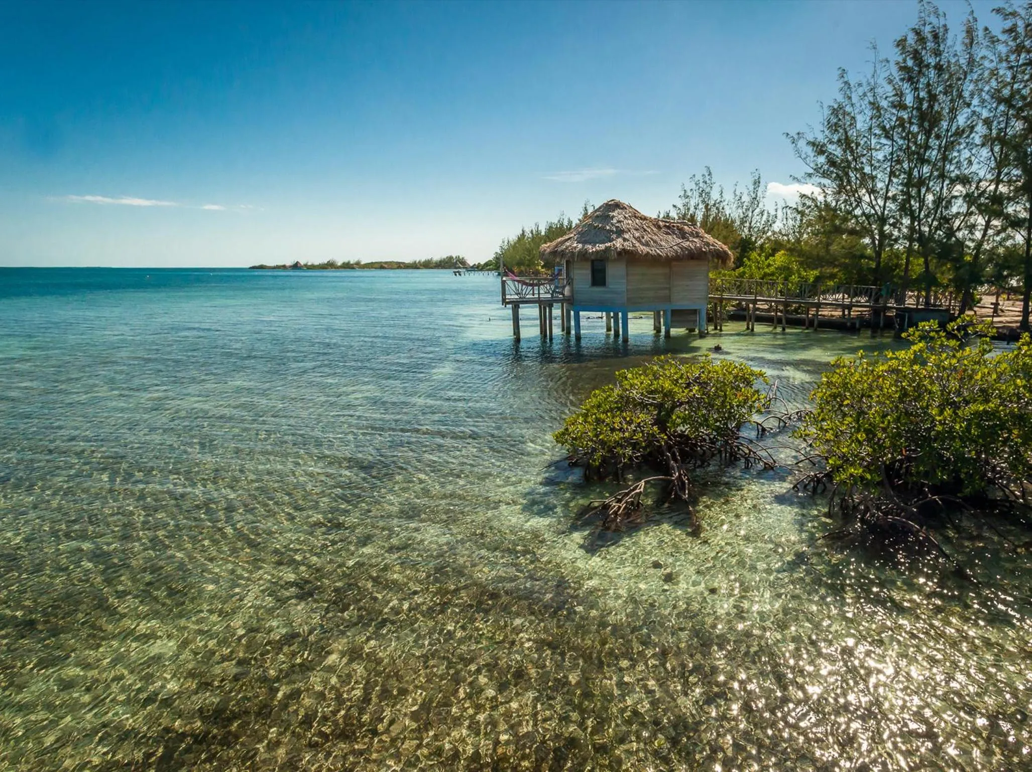 Natural landscape in Thatch Caye Resort a Muy'Ono Resort