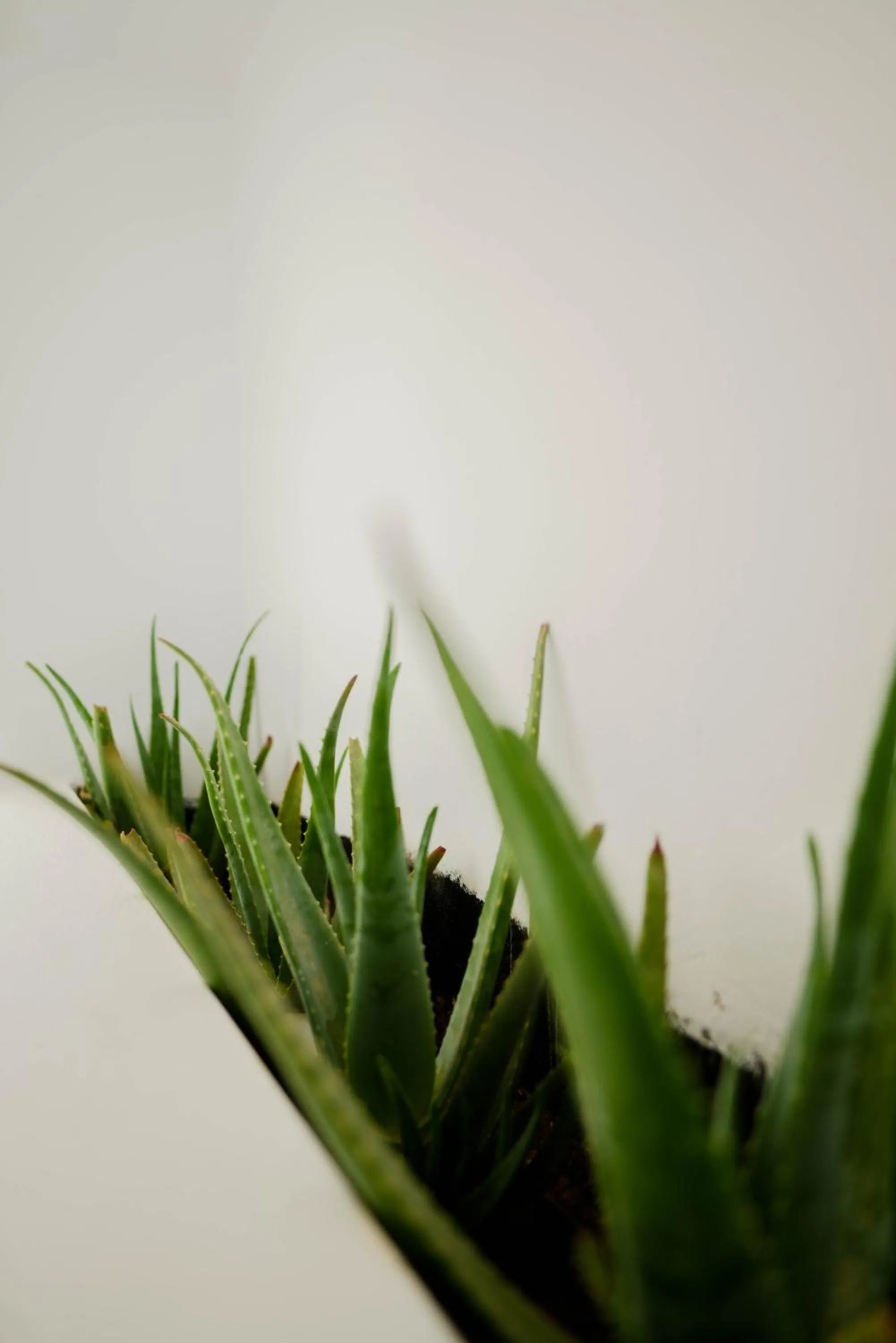 Property building in CUBIC Mykonos Seafront Design Suites