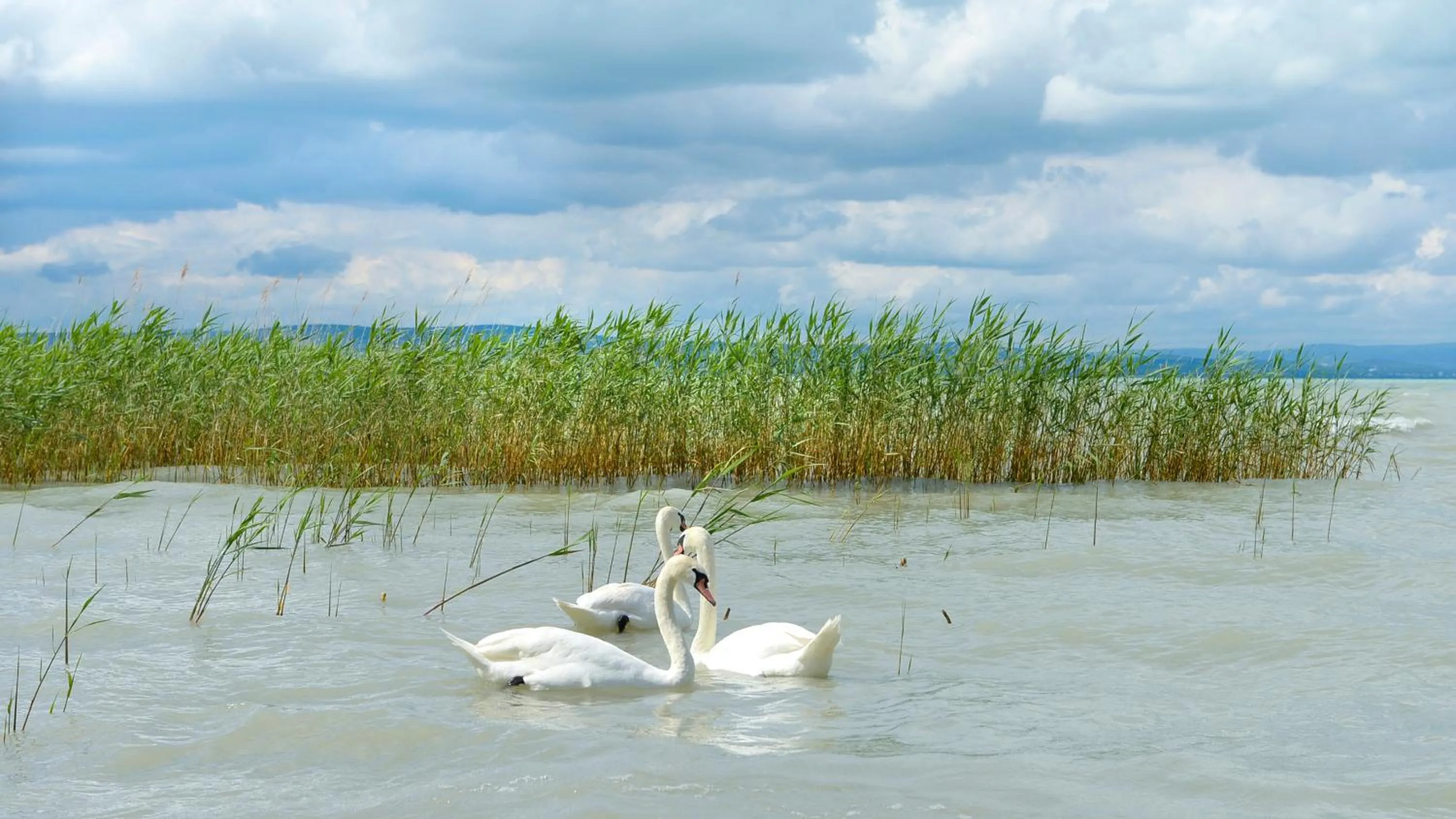 Neighbourhood in Lelle Hotel