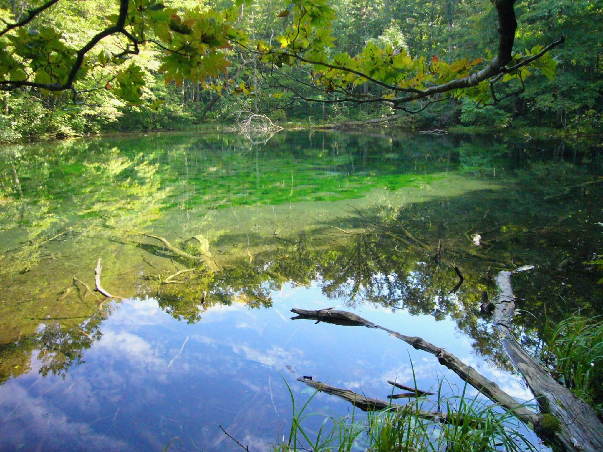 Nearby landmark in Tsuta Onsen Ryokan