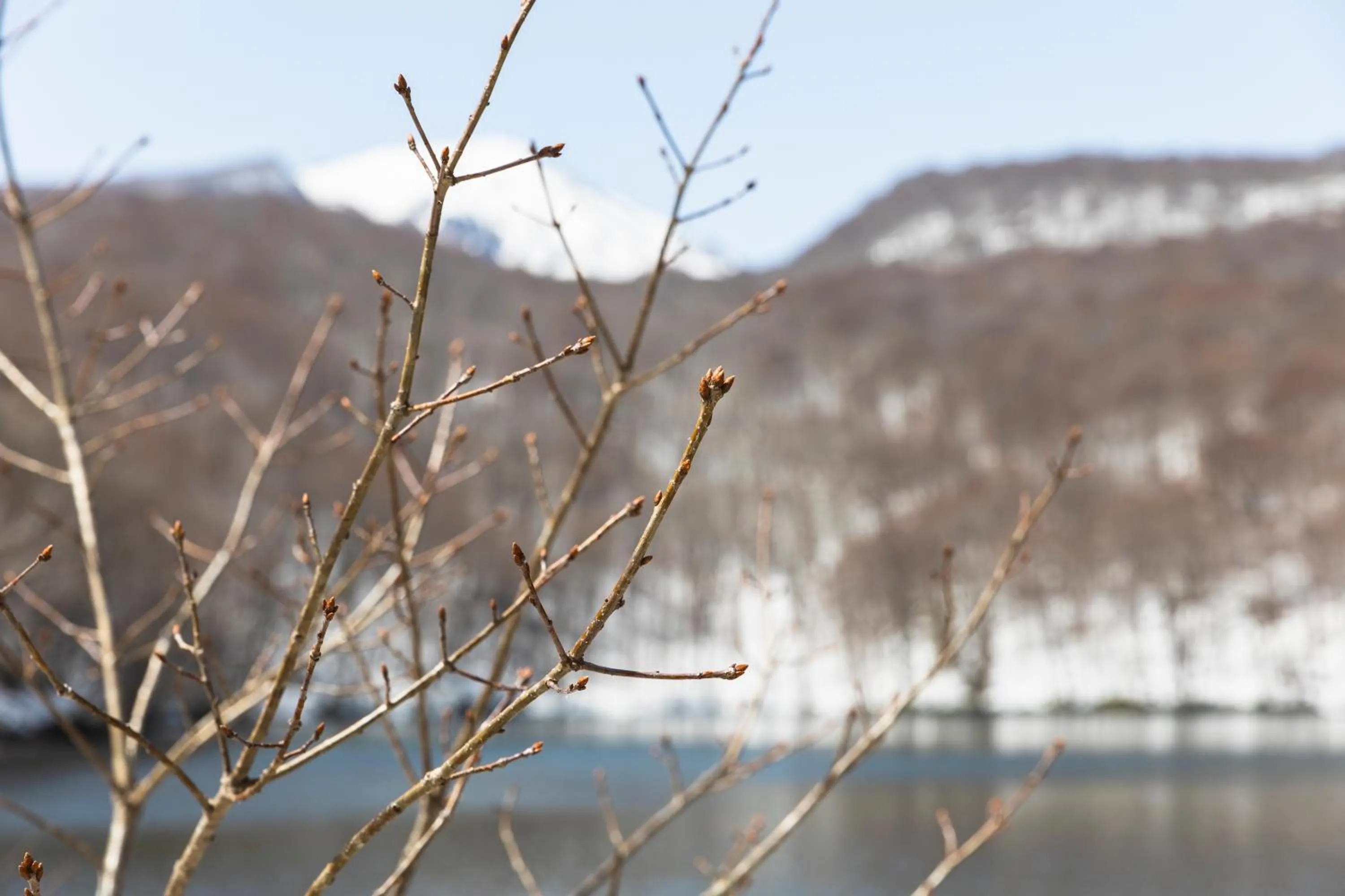 Nearby landmark in Tsuta Onsen Ryokan