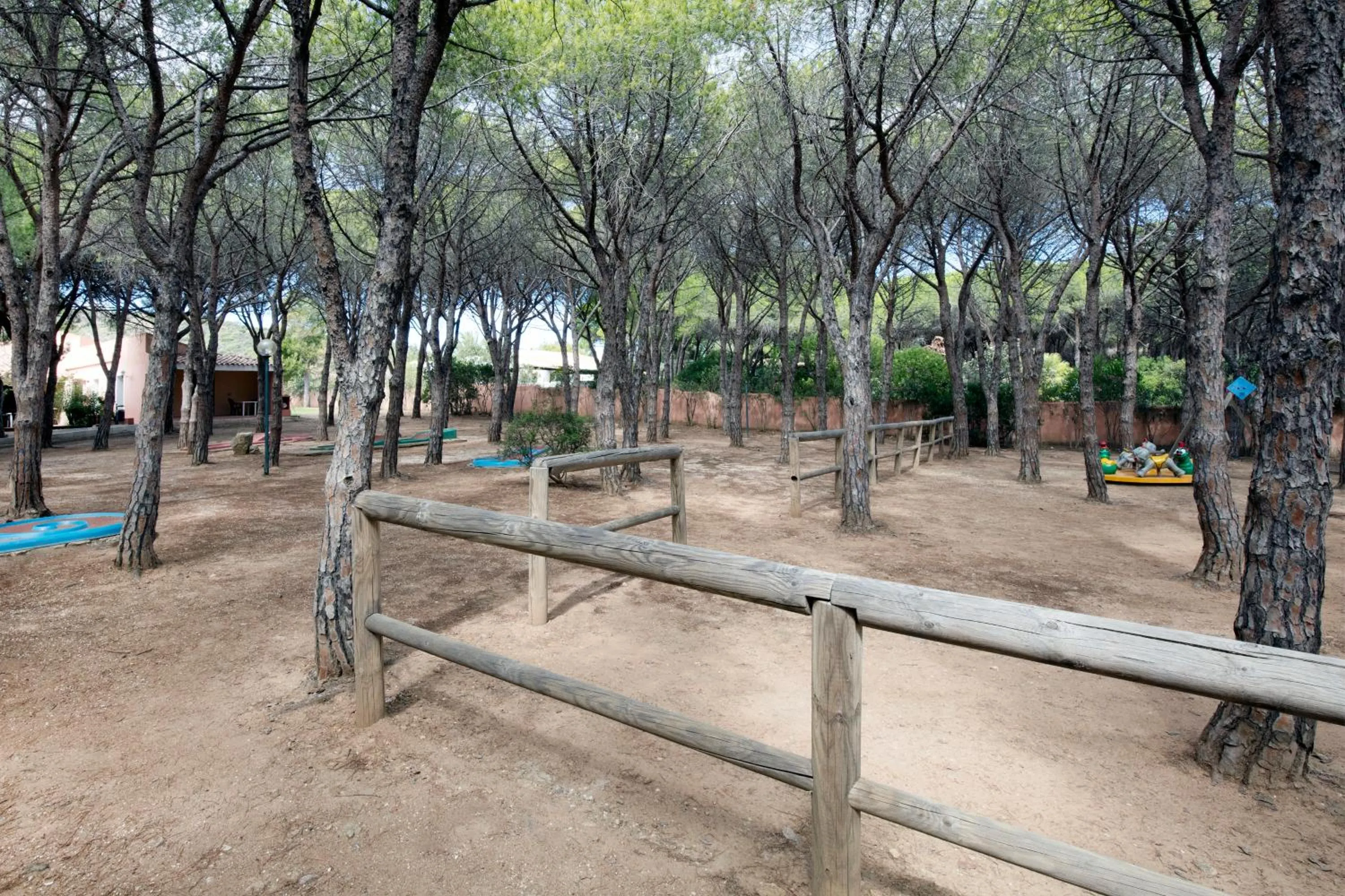 Garden in Club Hotel Marina Seada Beach