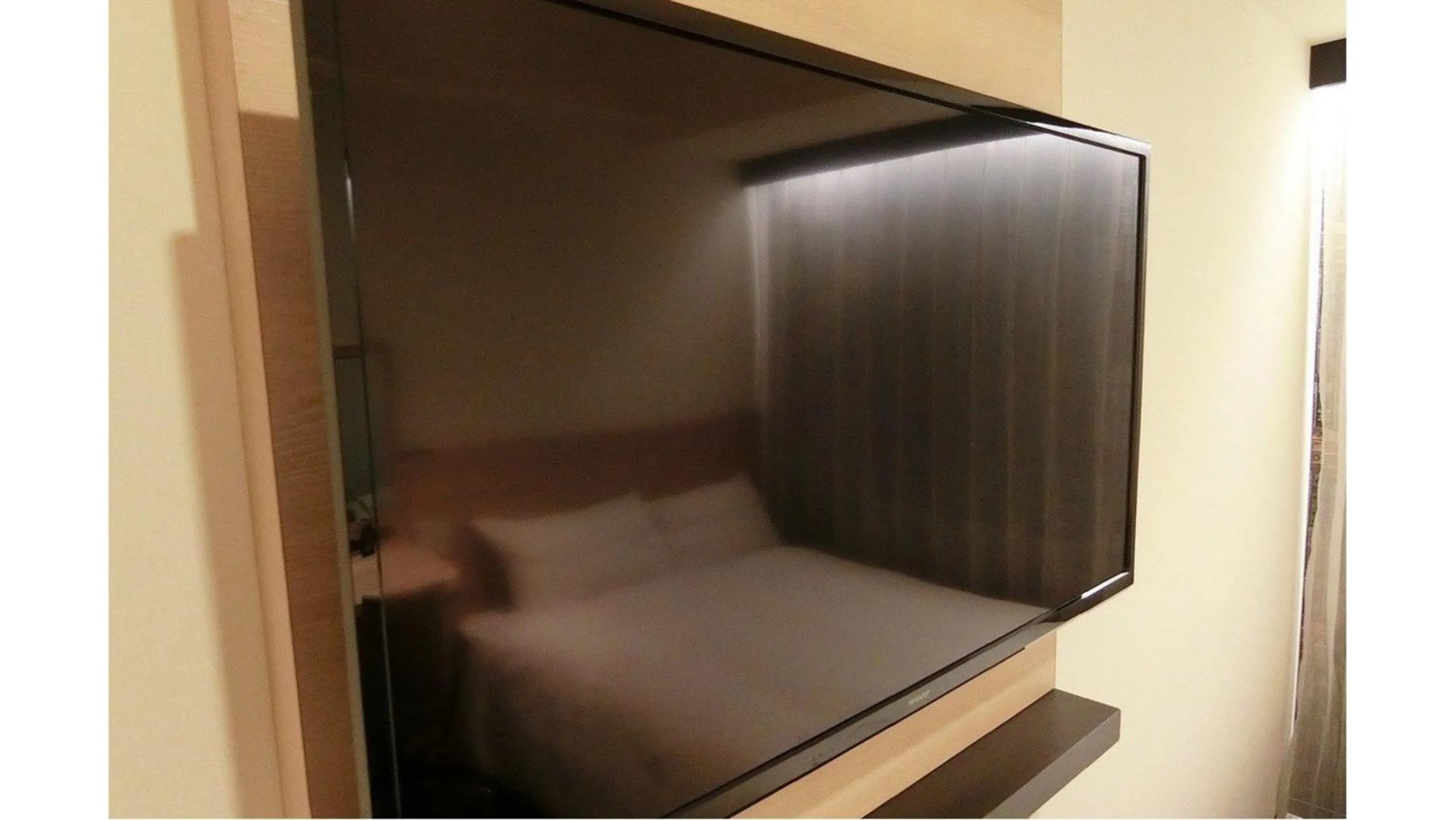 Via Inn Iidabashi Korakuen