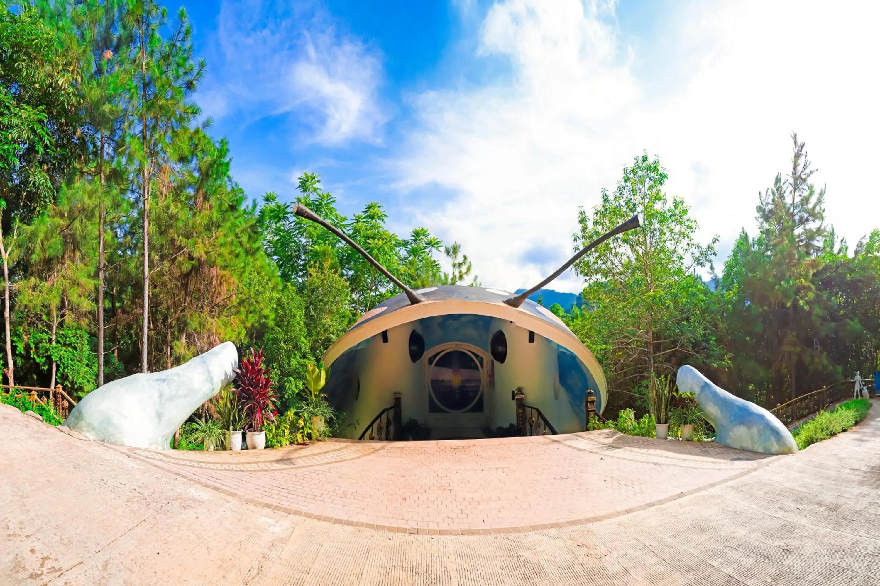 Property building in MEDDOM Park