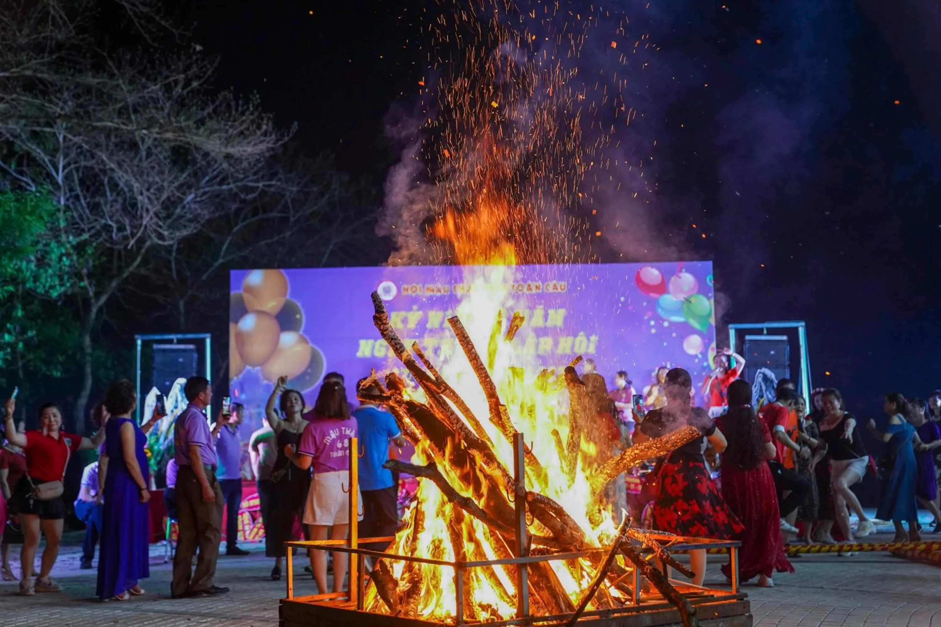 Property building in MEDDOM Park