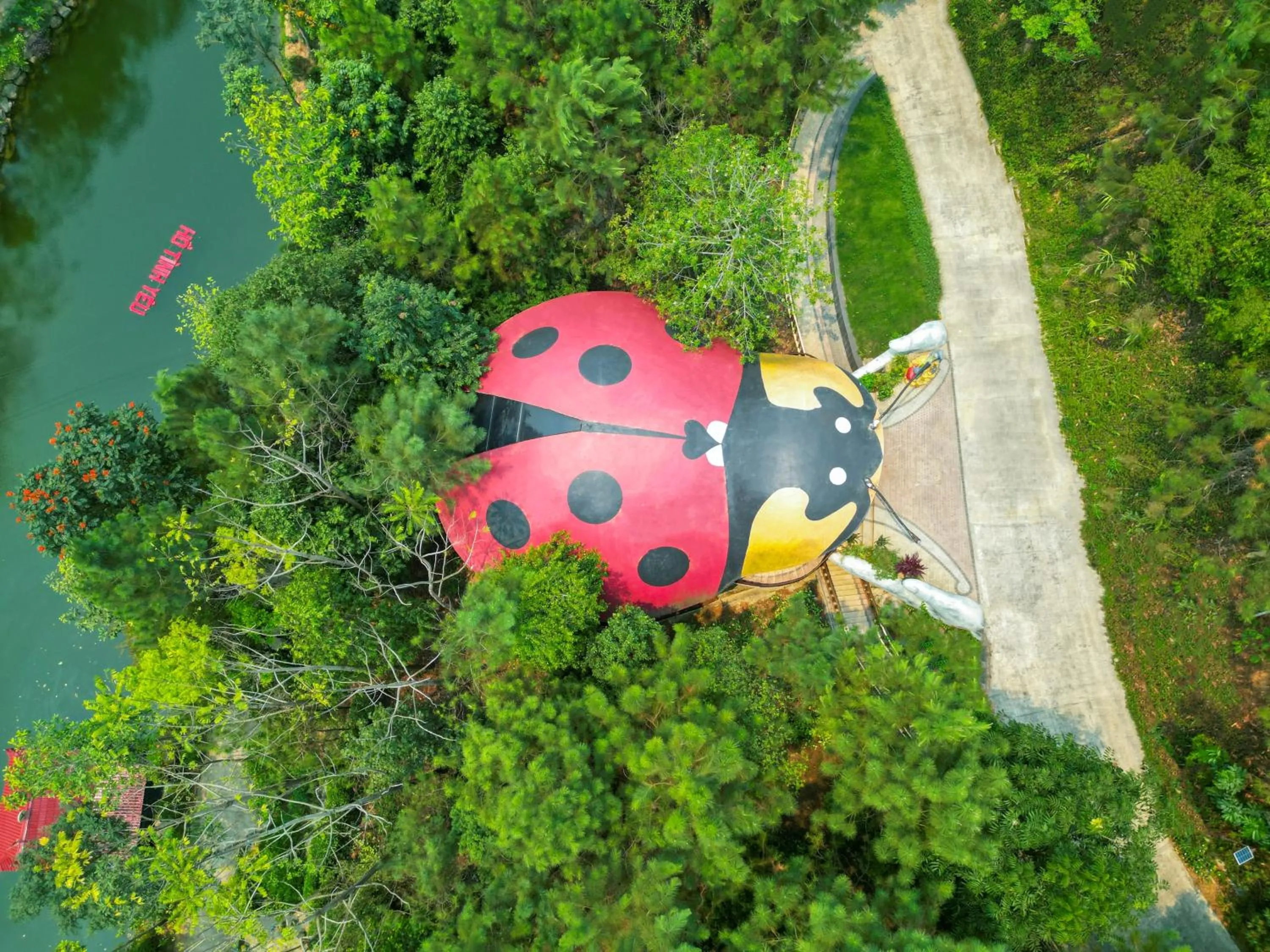 Bird's eye view in MEDDOM Park