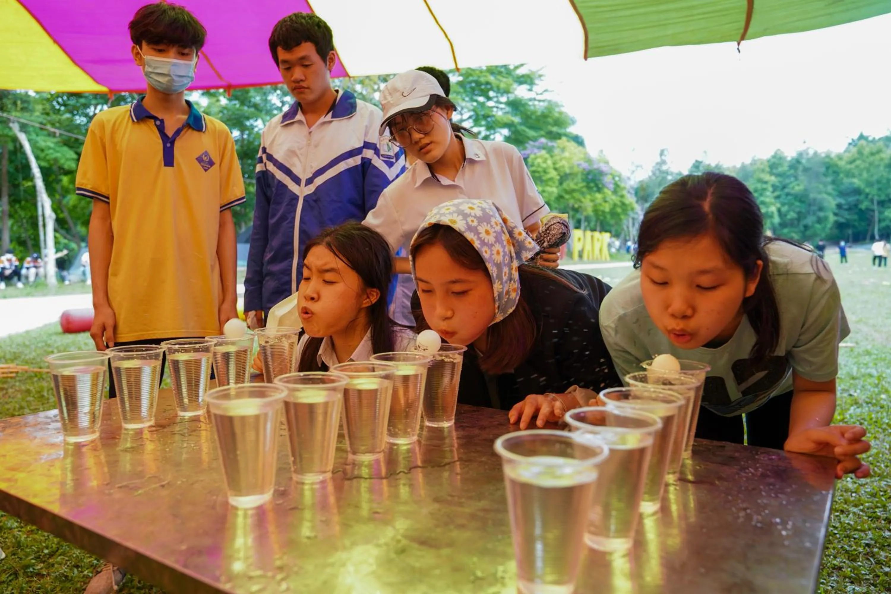 Property building in MEDDOM Park