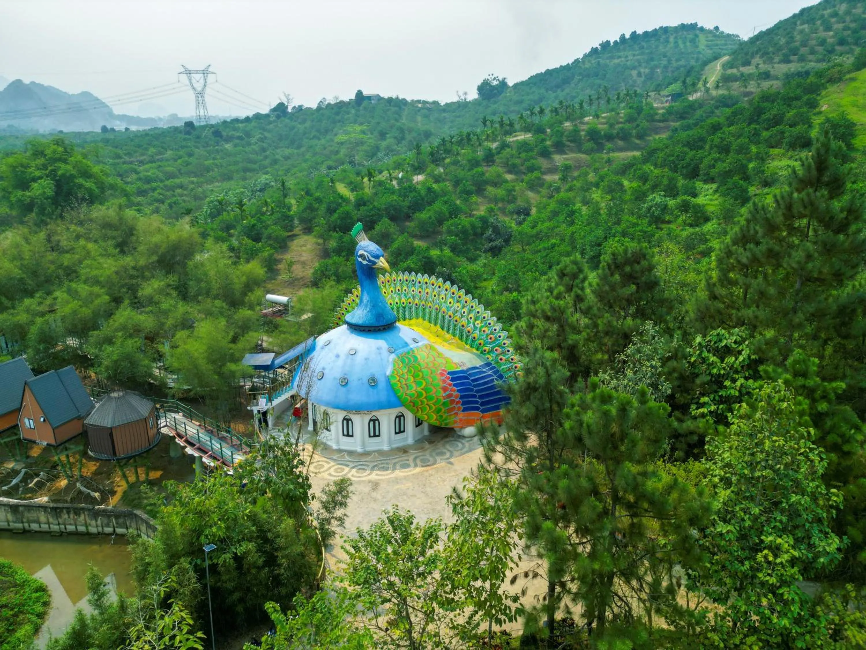 Bird's eye view in MEDDOM Park