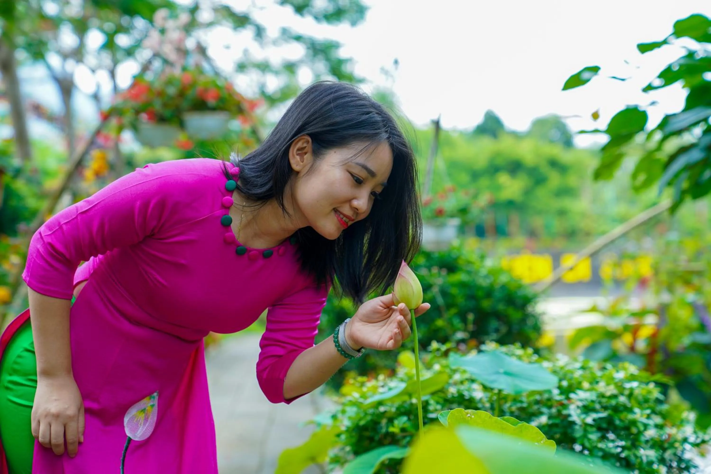 Property building in MEDDOM Park