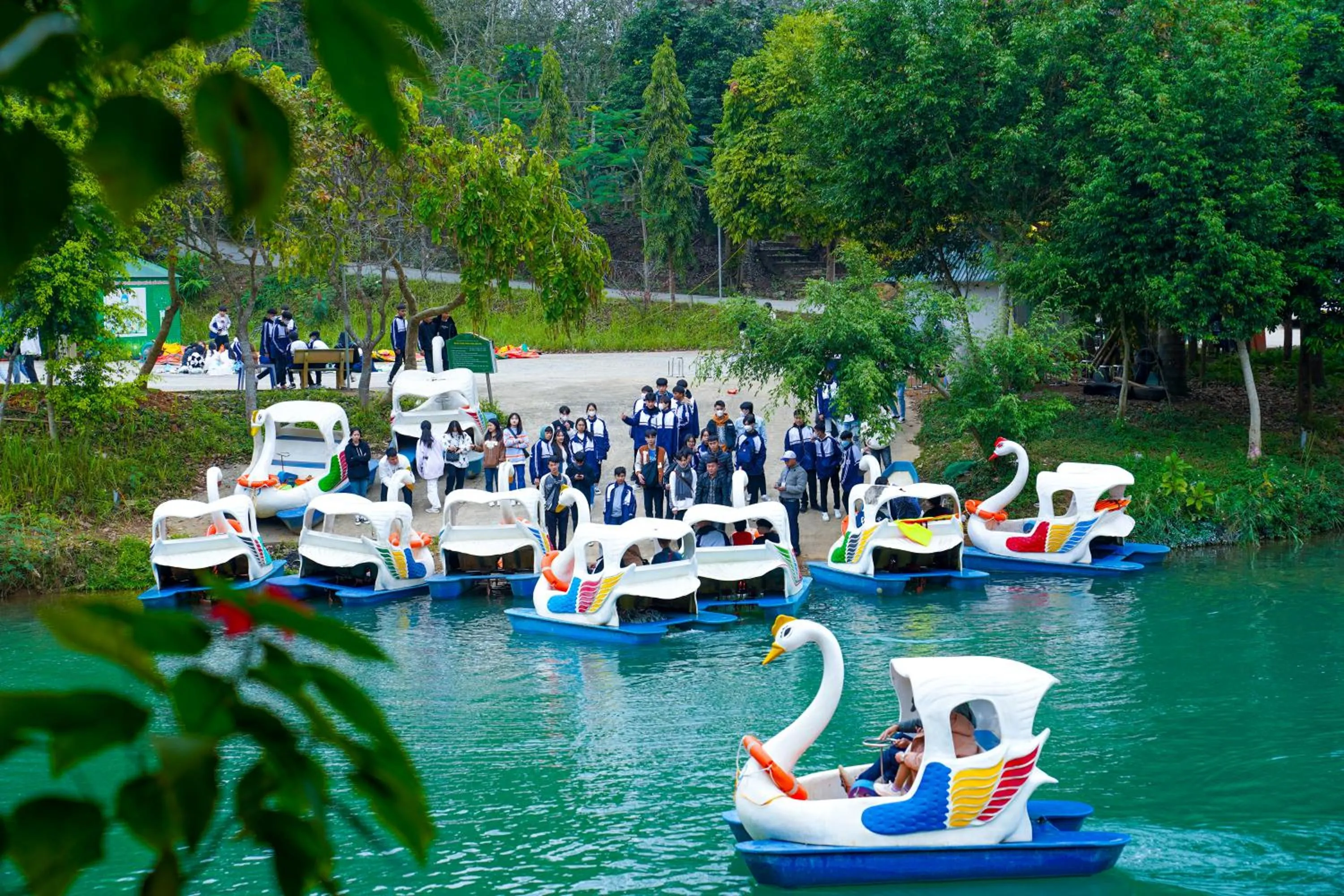 Property building in MEDDOM Park